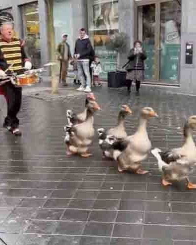 Bonus vid 2 11 10 24