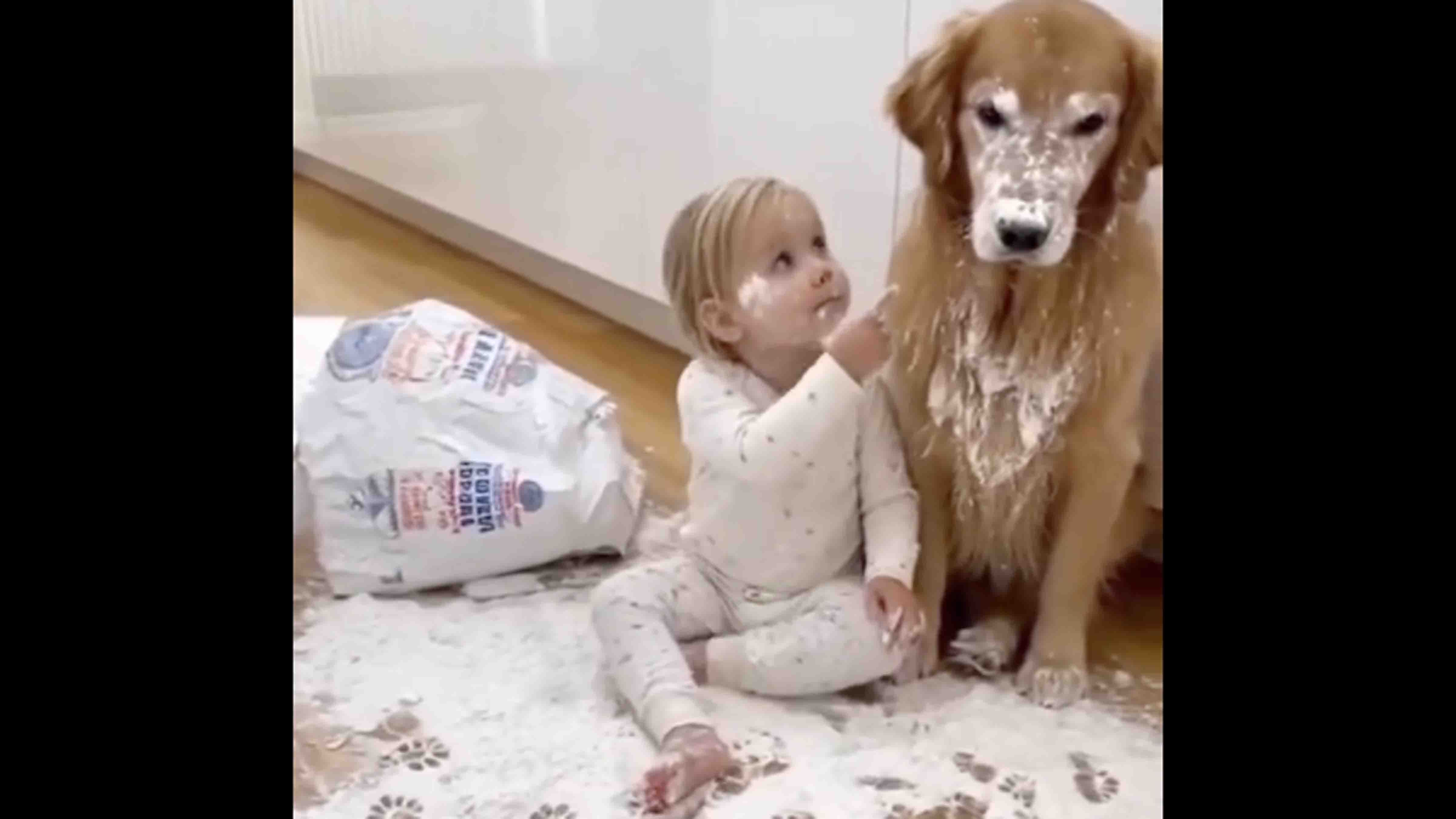 Bonus vid 2 11 11 25