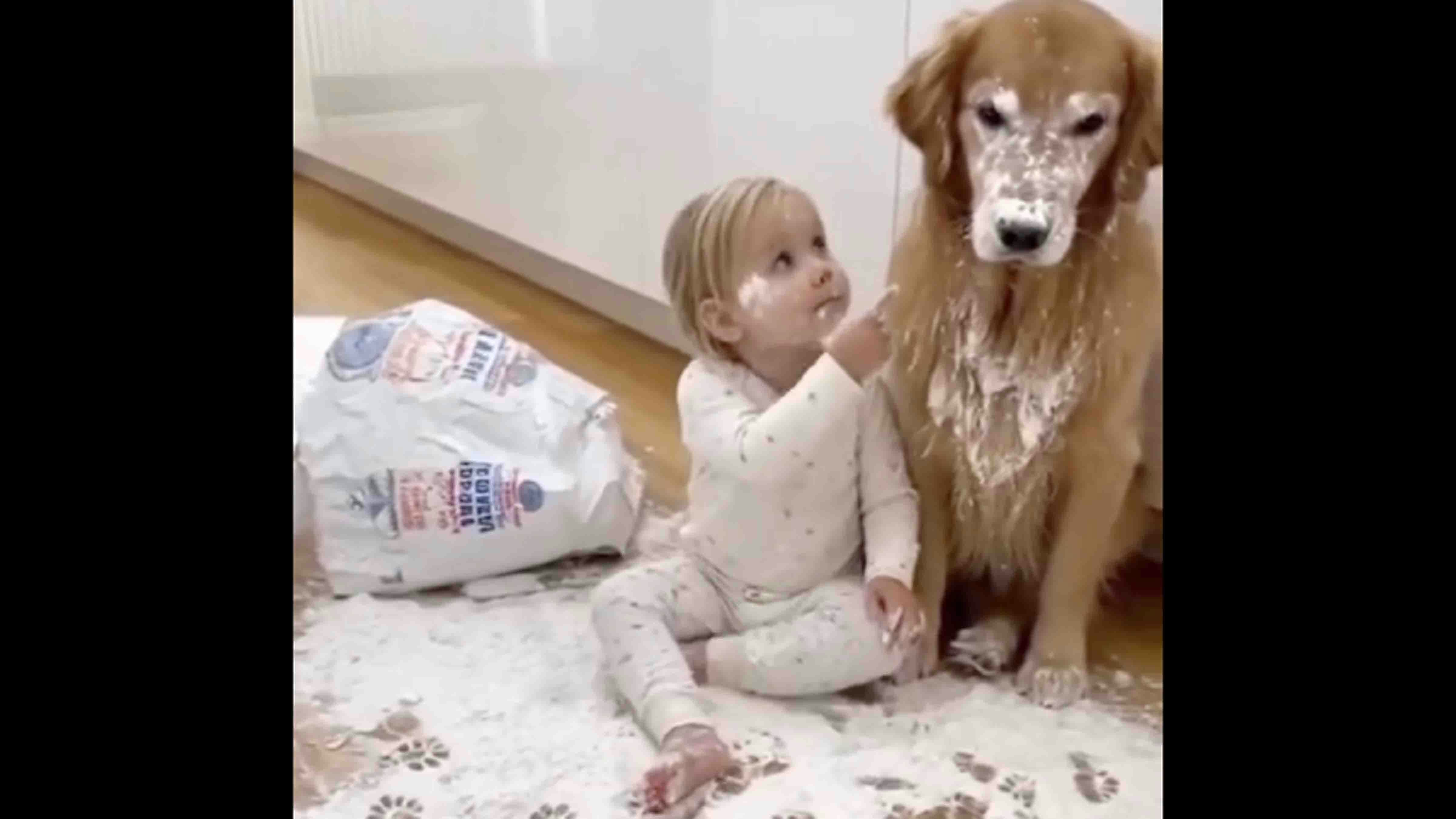 Bonus vid 2 11 11 25