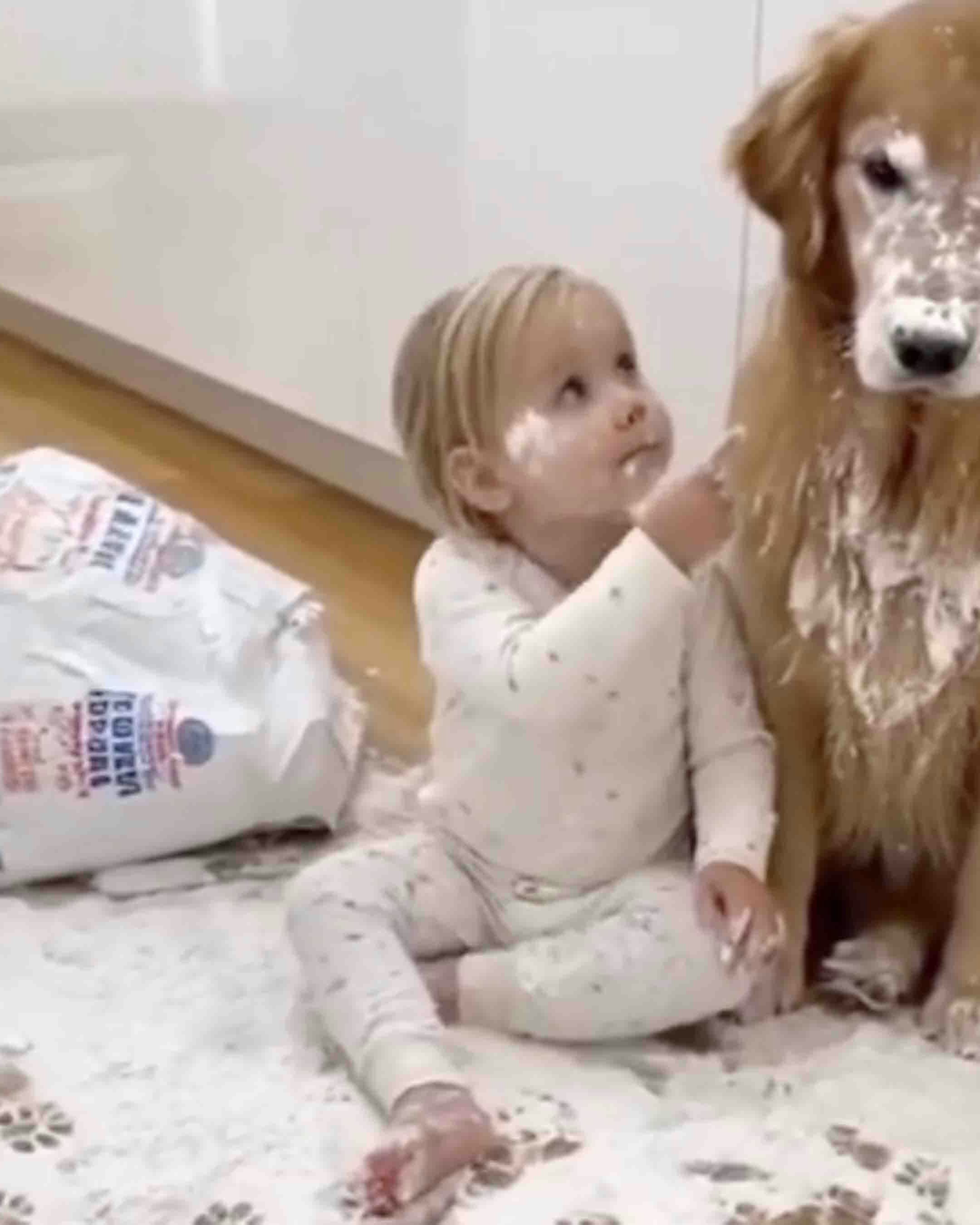 Bonus vid 2 11 11 25