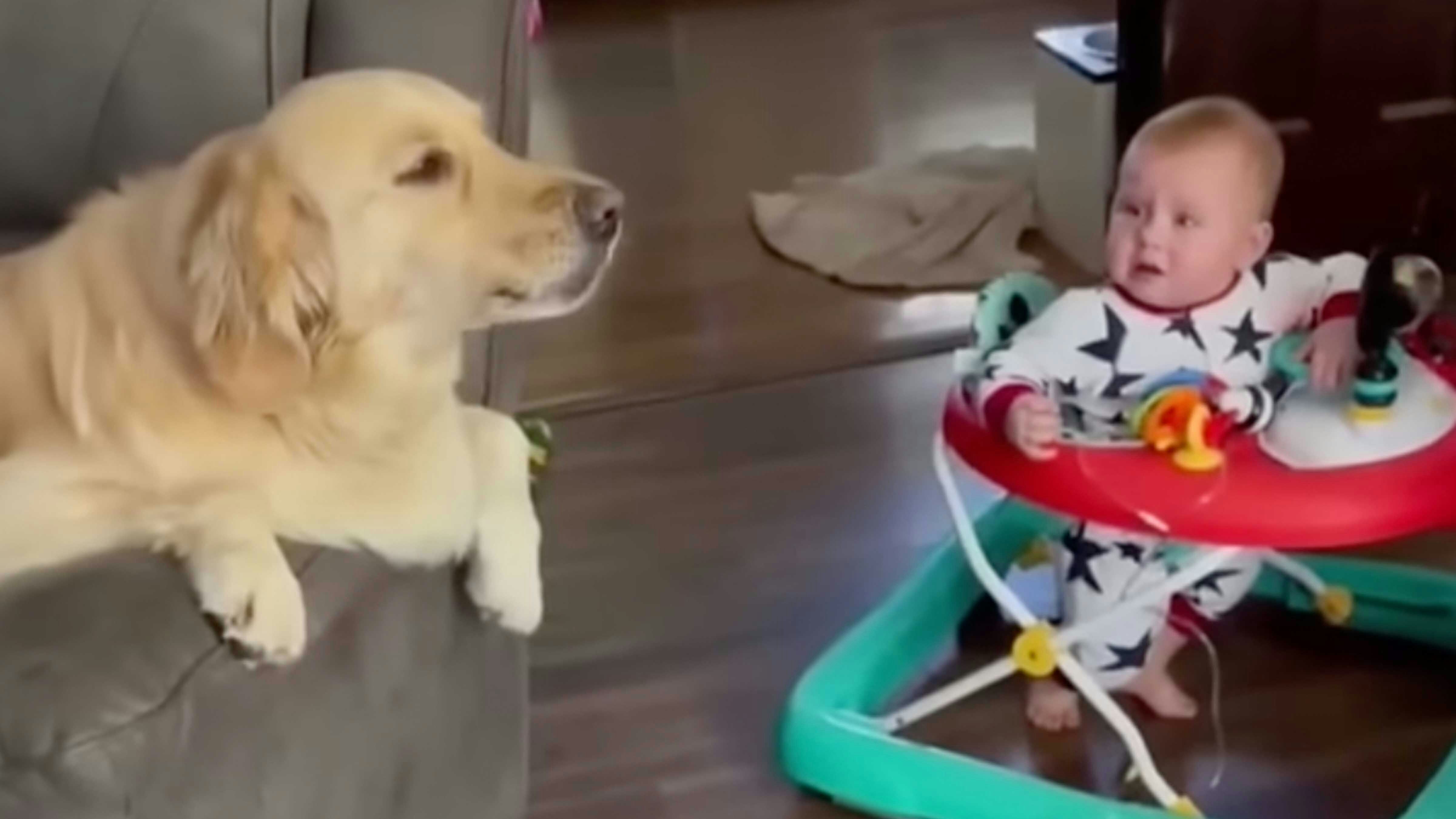 Bonus vid 2 11 25 25