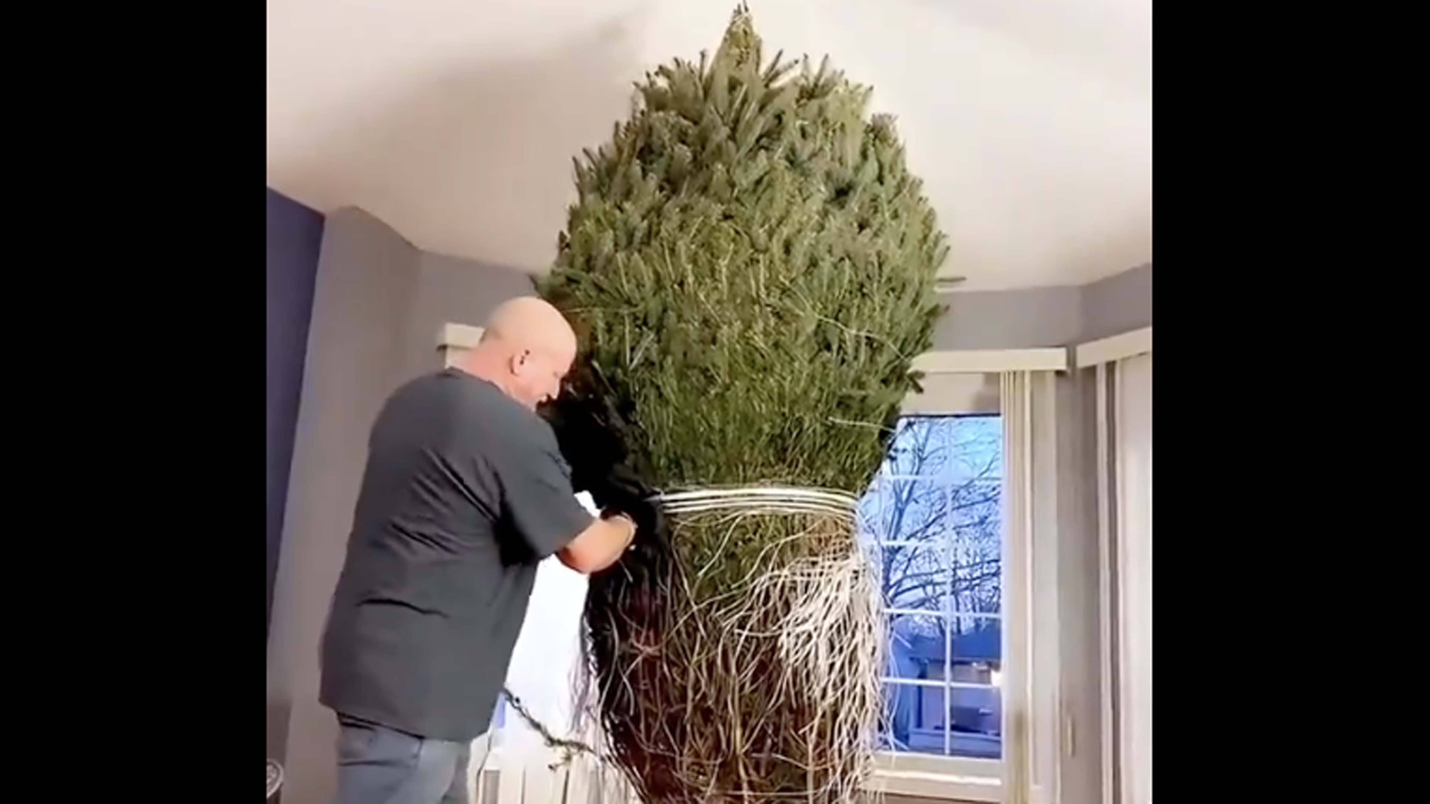 Bonus vid 2 11 30 25