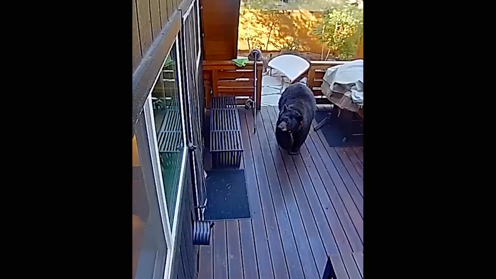 Bonus vid 2 8 15 26