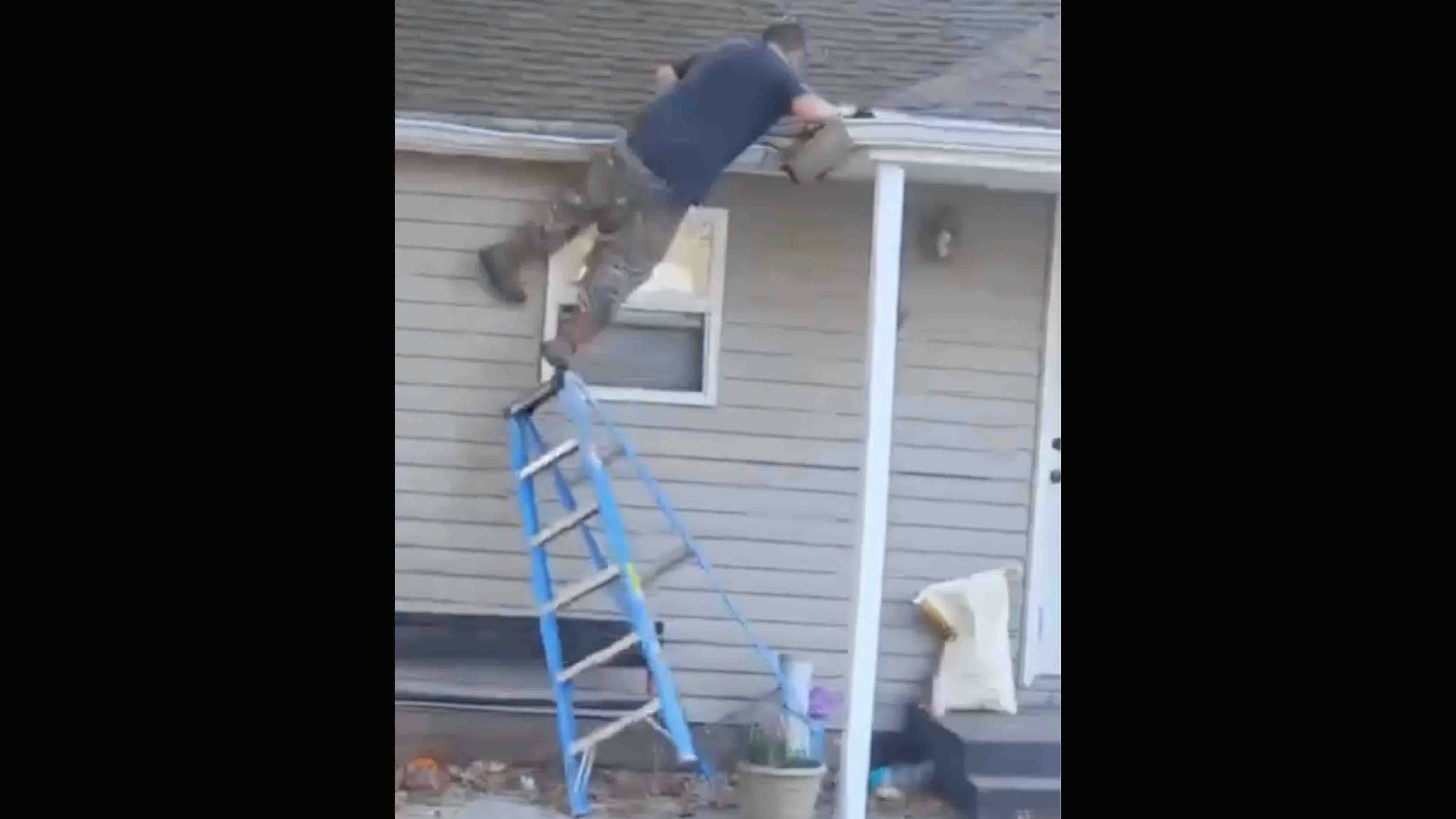 Bonus vid 2 9 13 25