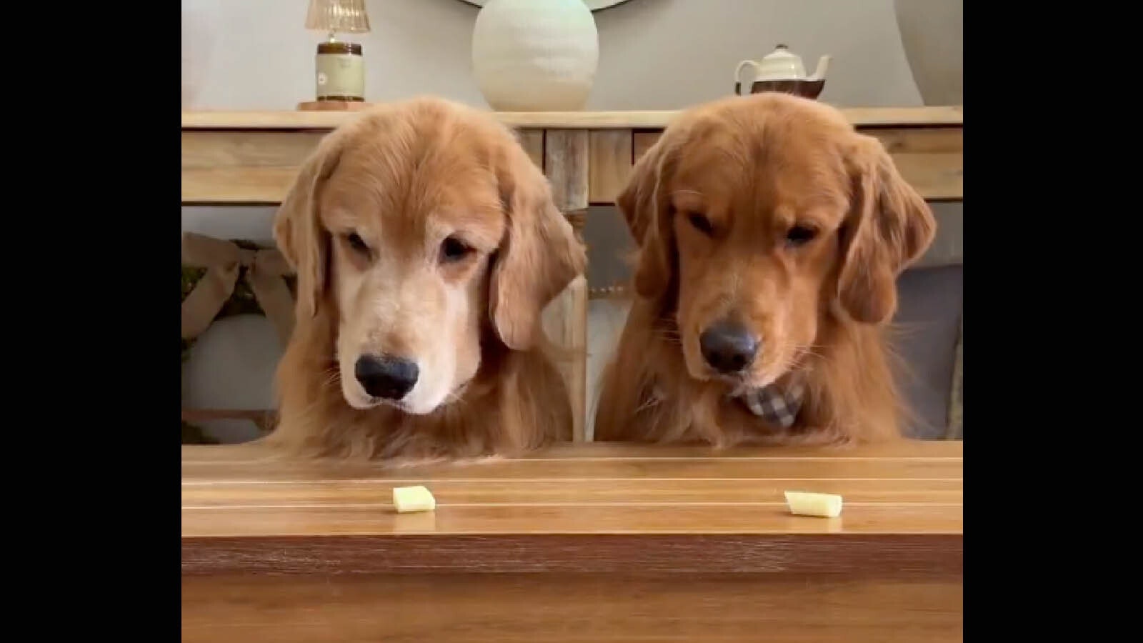 Bonus vid 2 no play 7 9 25