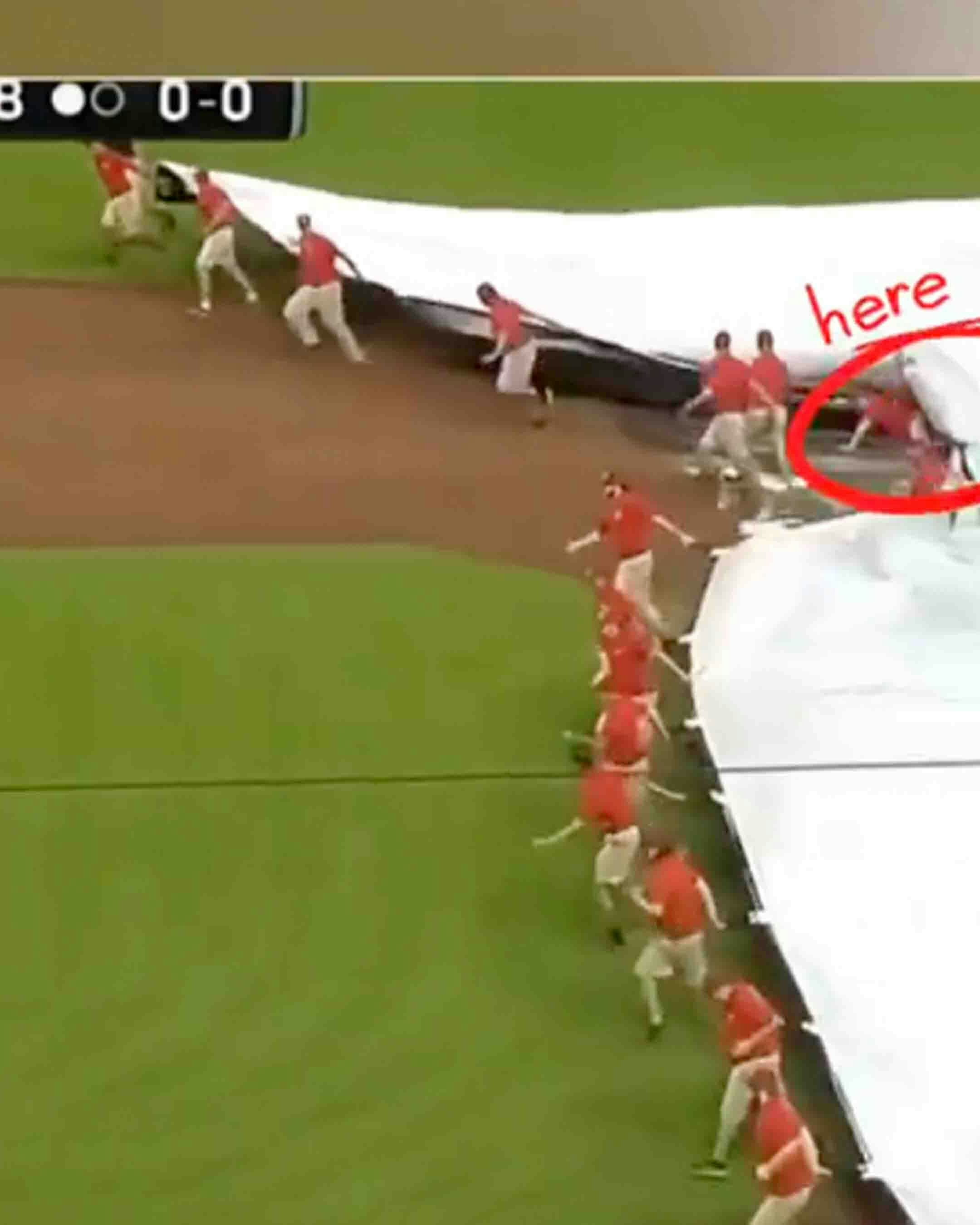 Bonus vid 3 9 19 24 v2