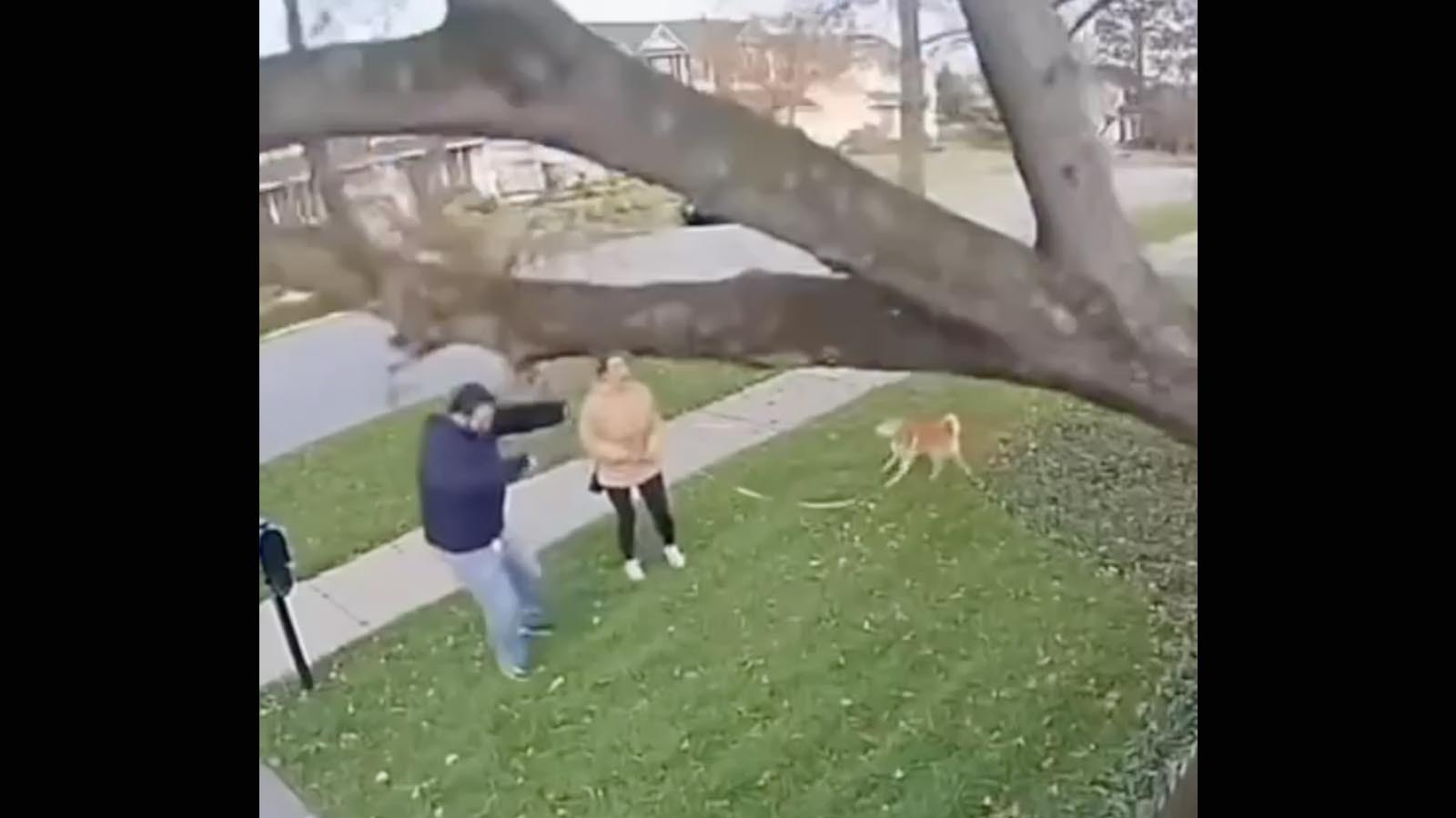 Bonus video 1 10 11 25