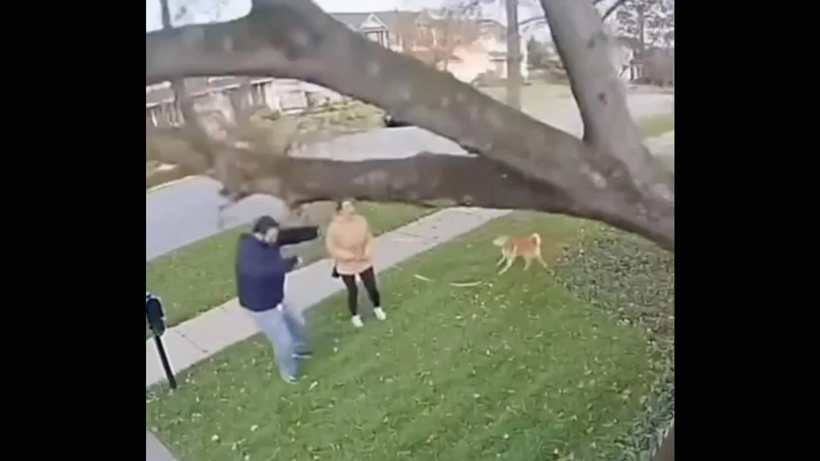 Bonus video 1 10 11 25