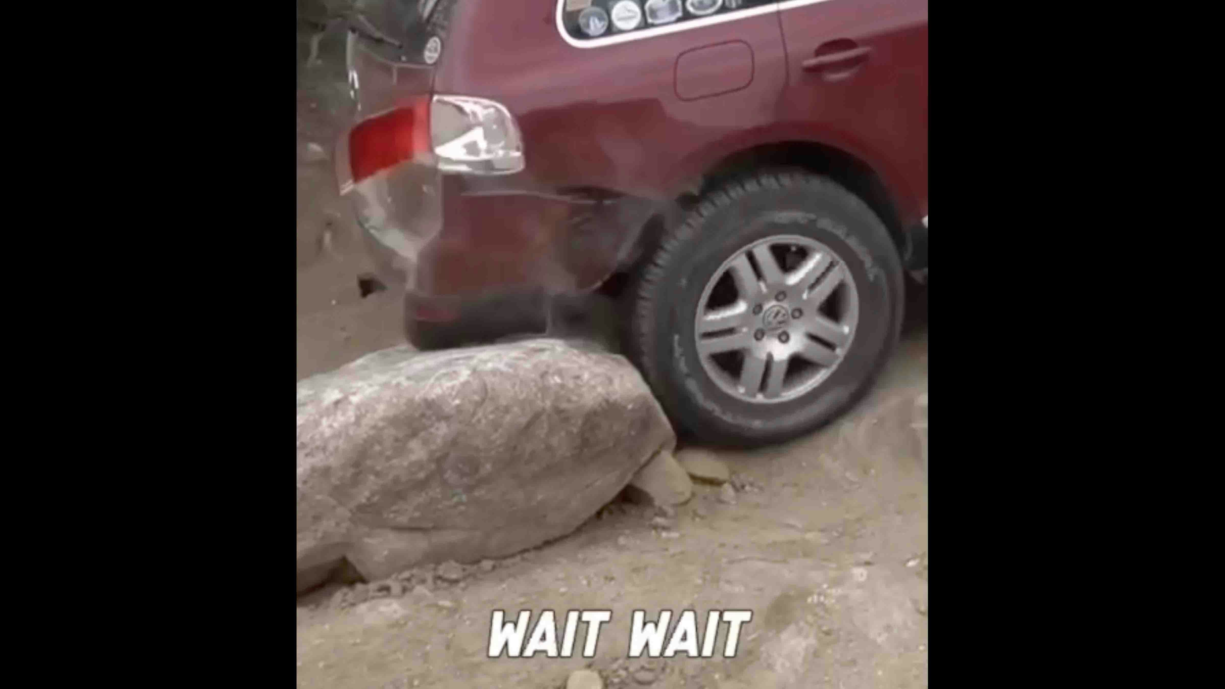 Bonus video 1 7 20 24 copy