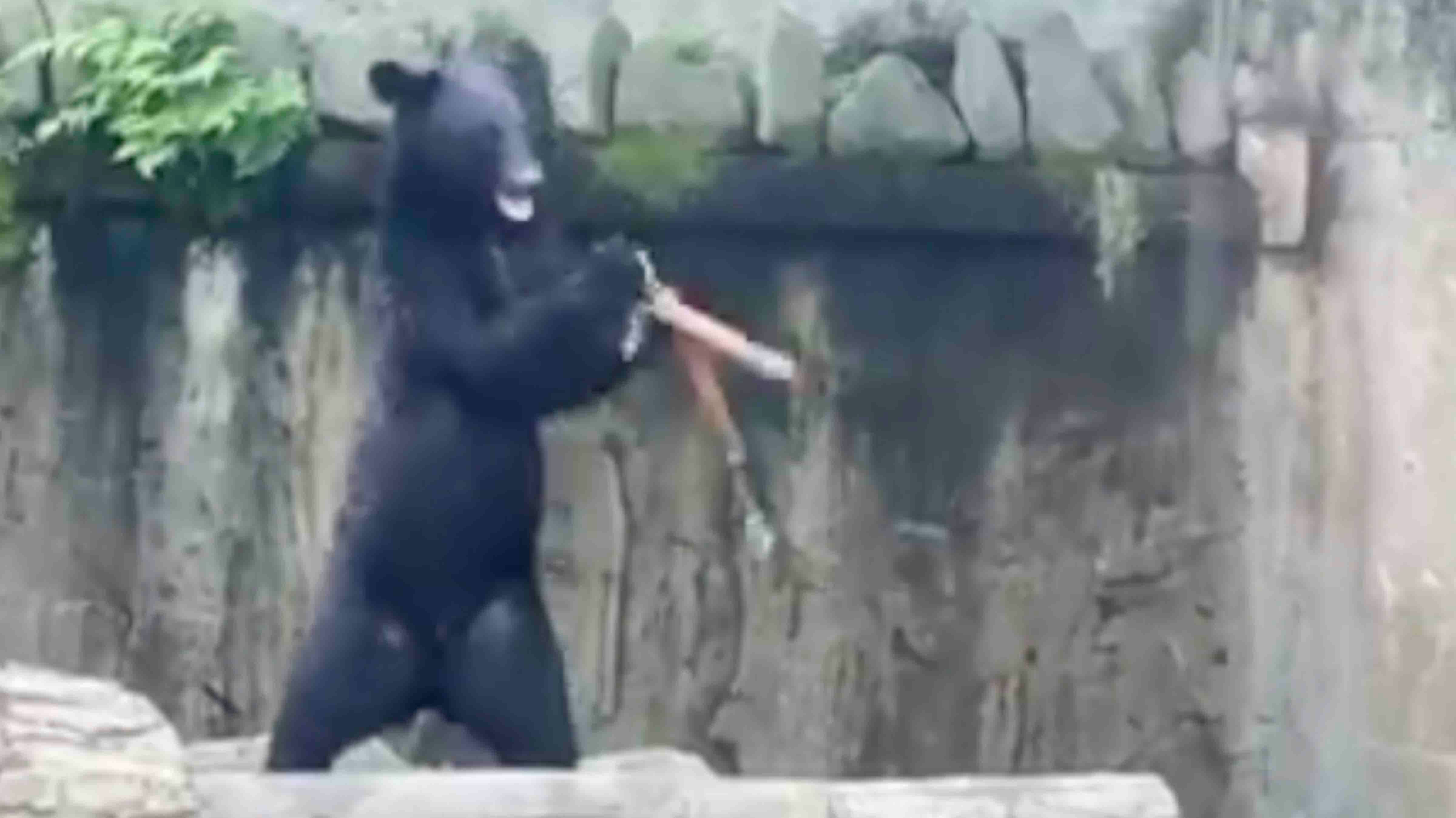 Bonus video 1 7 21 24 copy