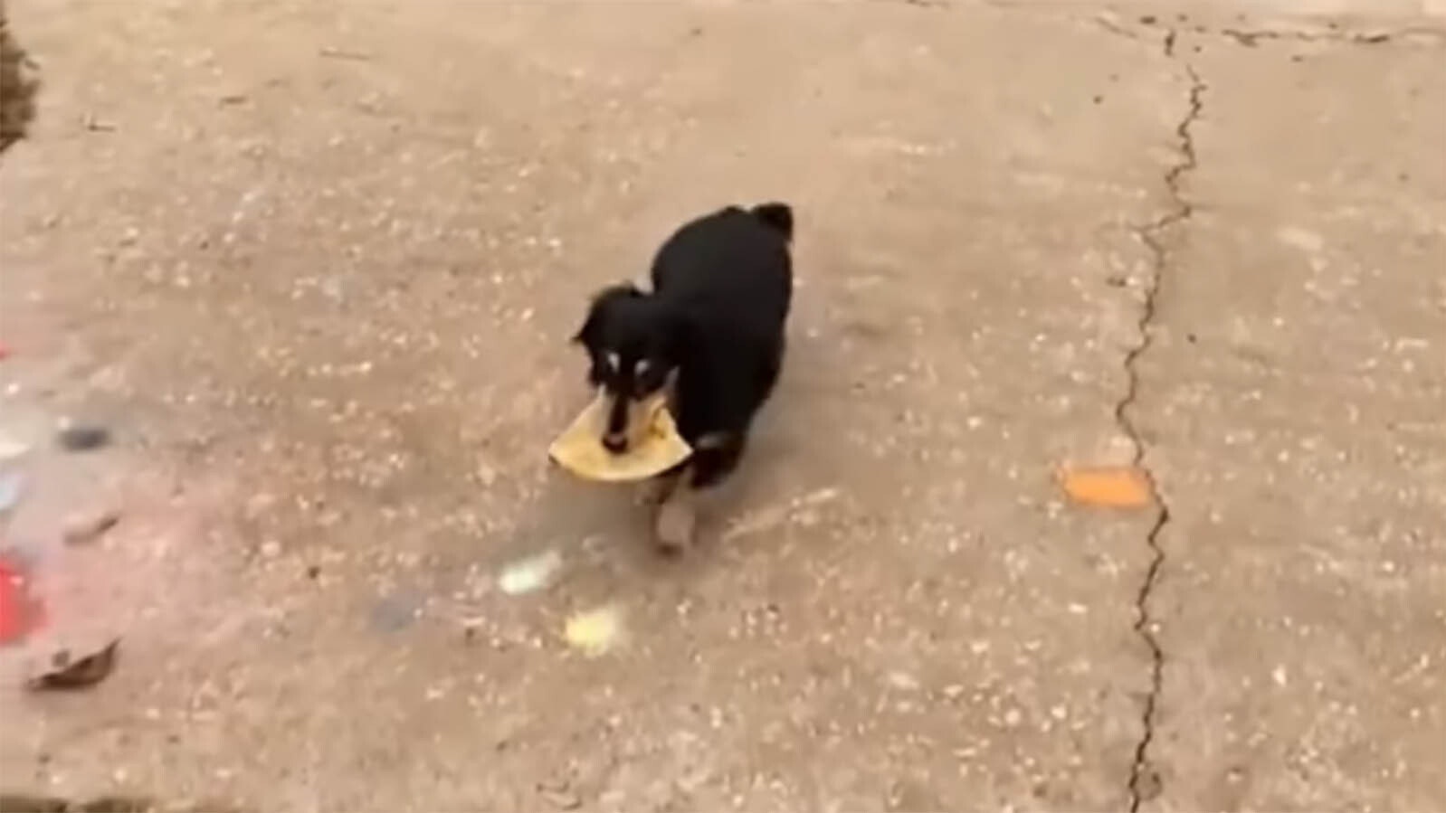 Bonus video 2 3 30 25