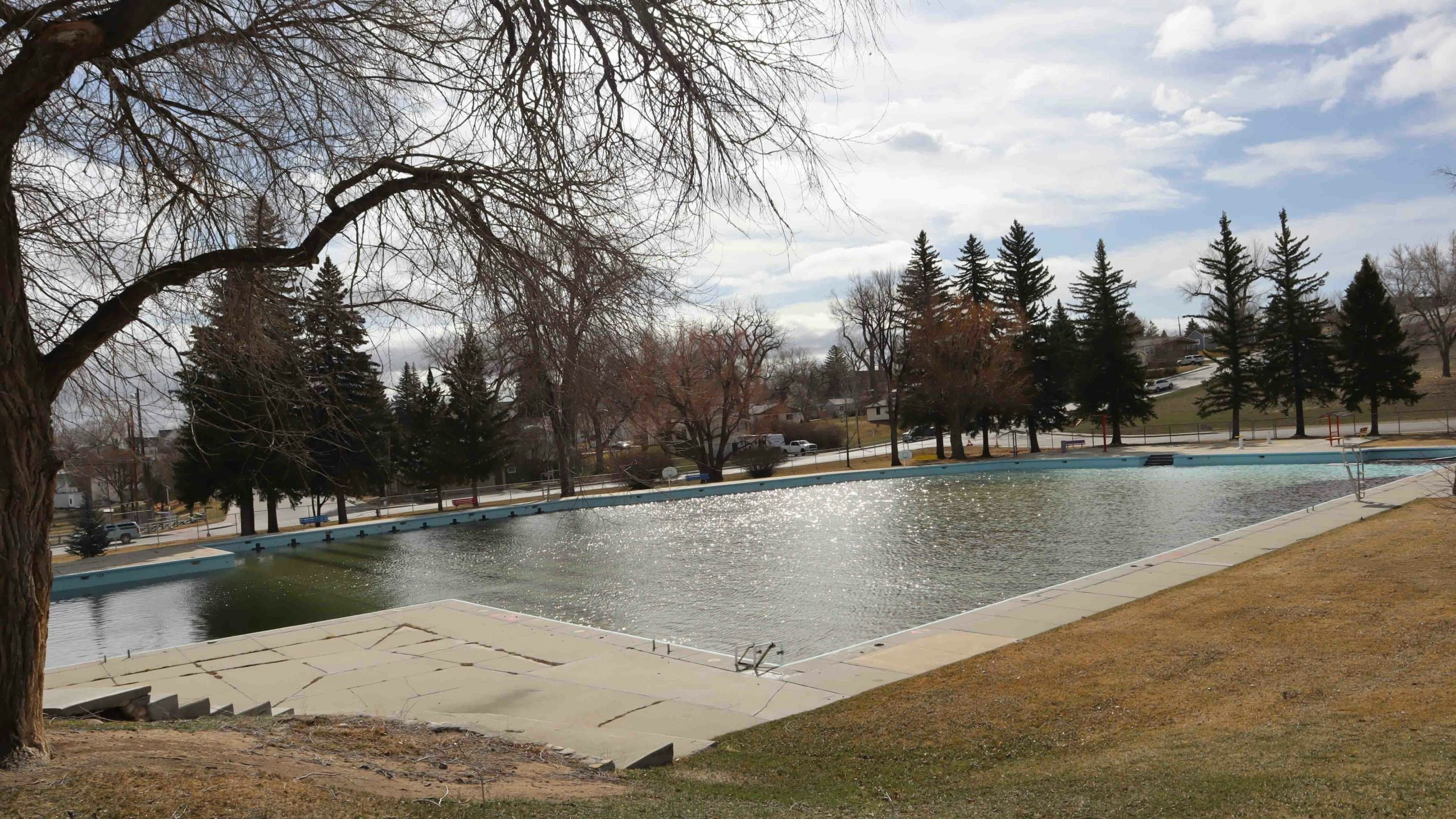 Buffalo pool 4 17 22 scaled