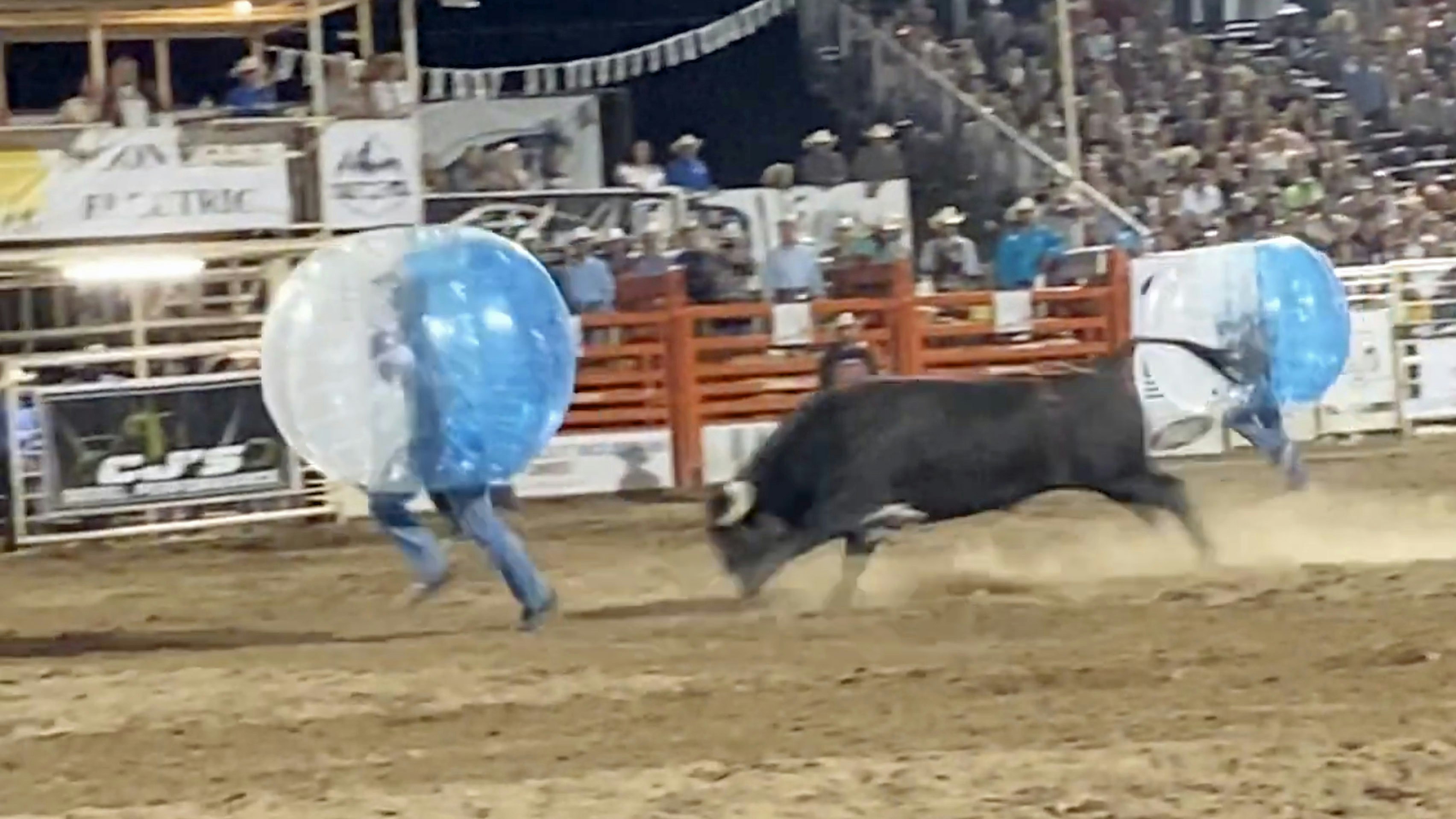 Bull ball rodeo 7 15 23