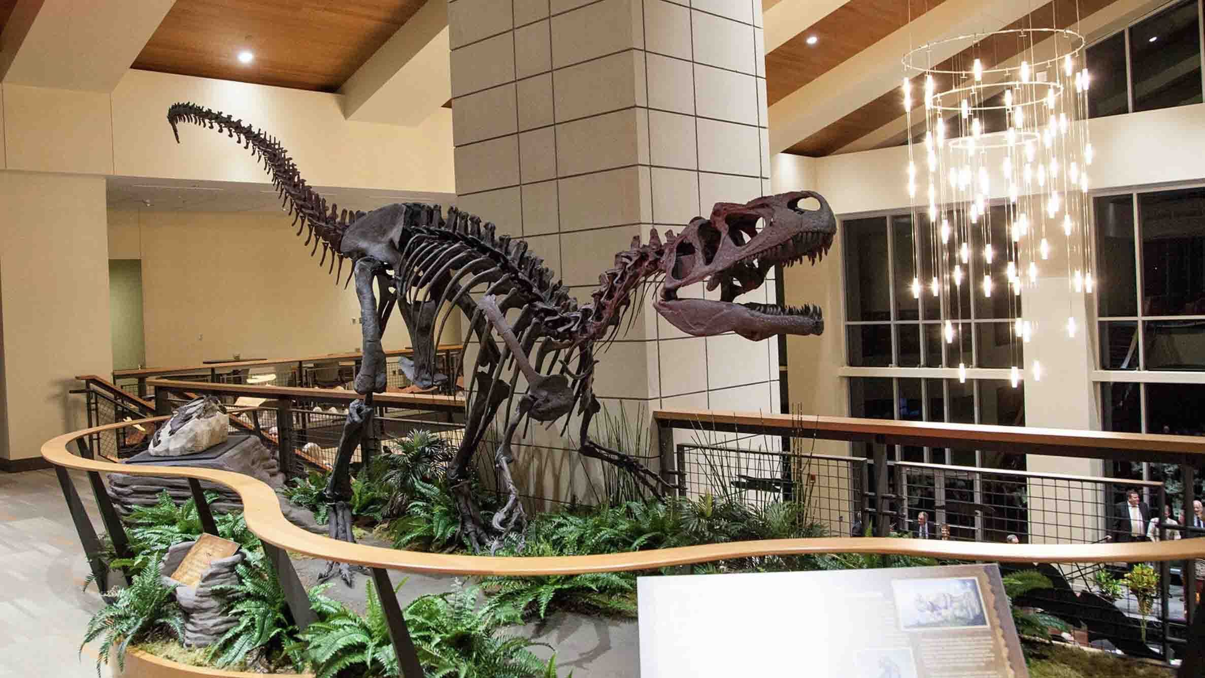 Caesar the Allosaurus at Sheridan College