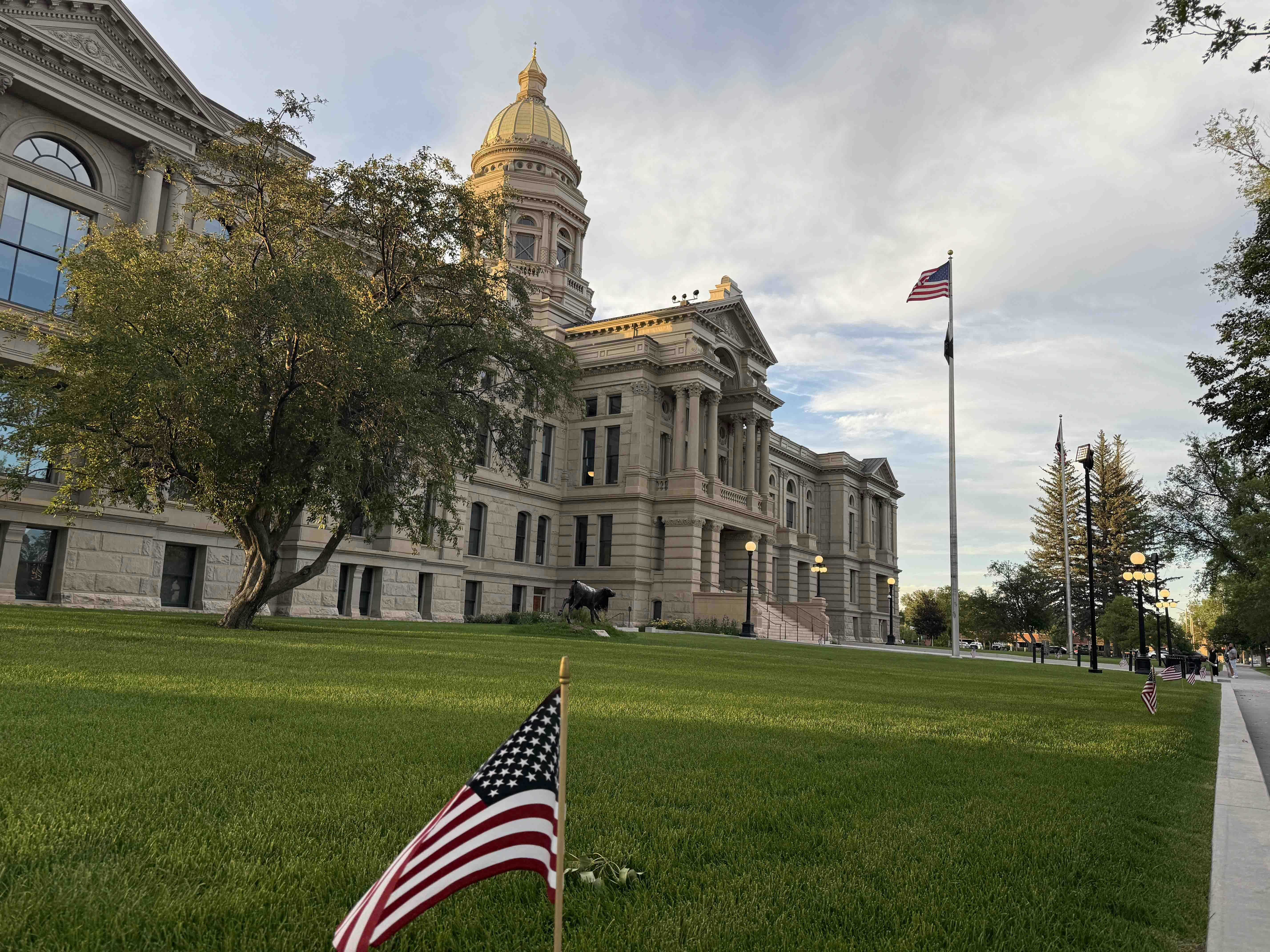 Capitol flags 7 3 25