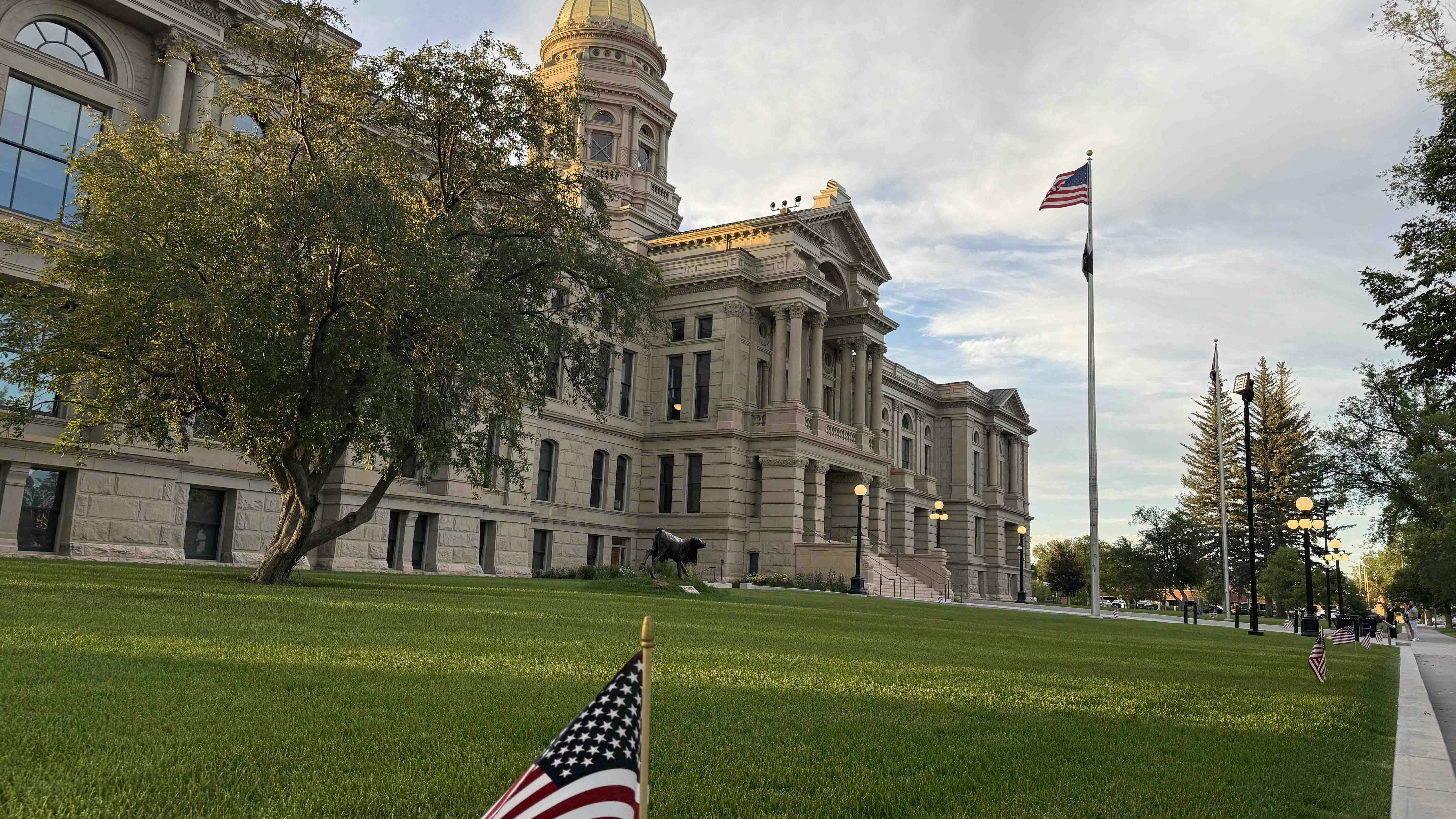 Capitol flags 7 3 25