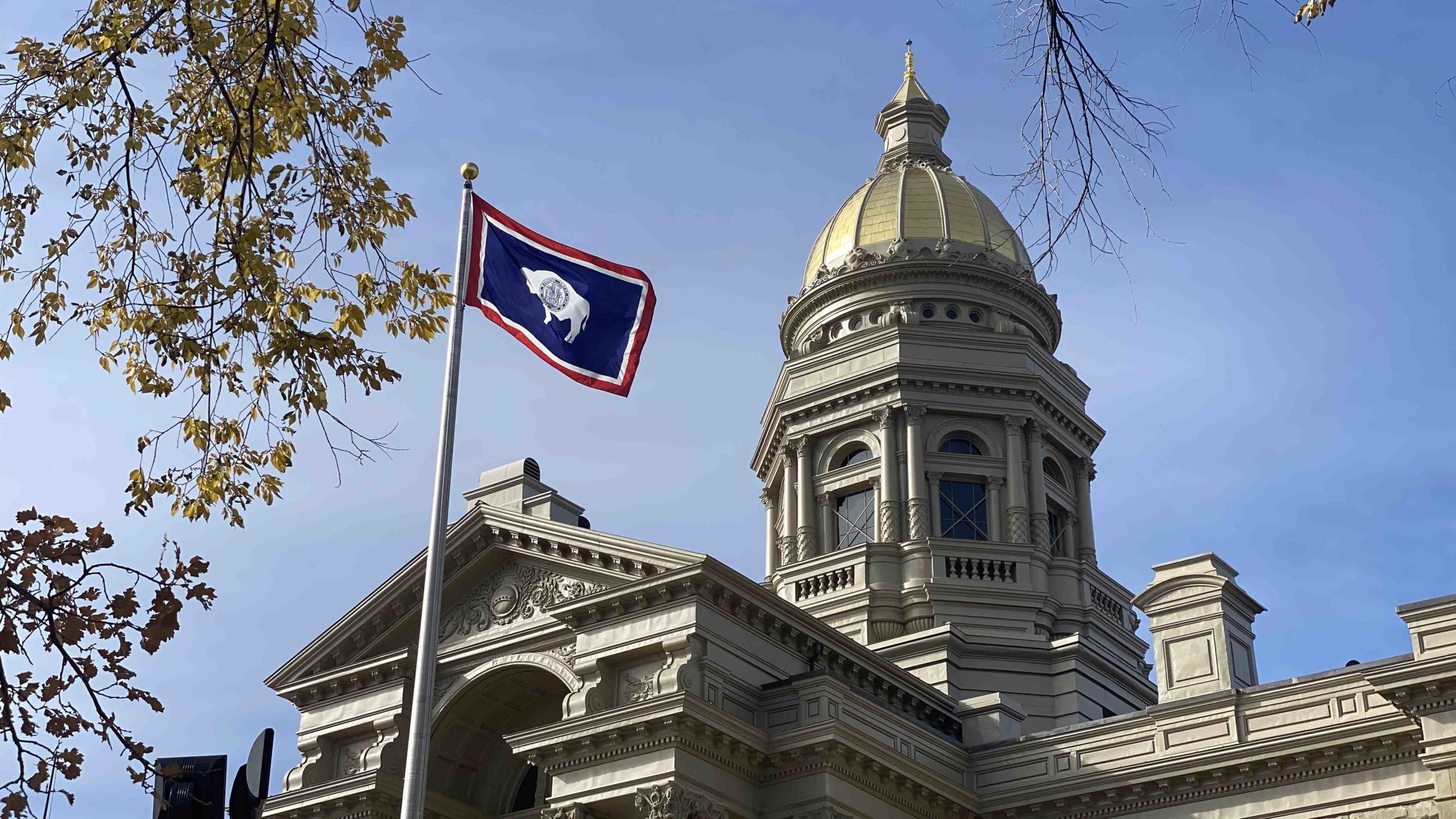 Wyoming Lobbying Groups Primary Election Cowboy State Daily   Capitol With Flag Scaled 