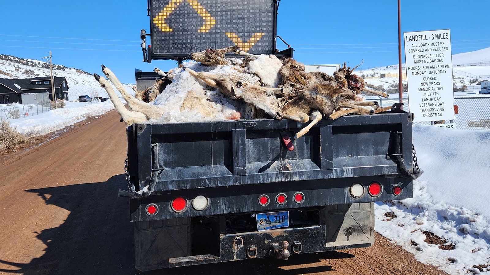 Carcass collection 3 30 23