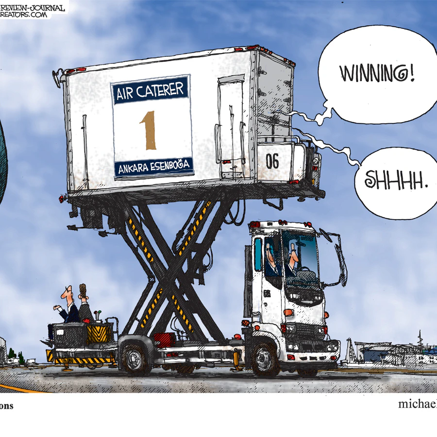 Cartoon 2 8 14 26