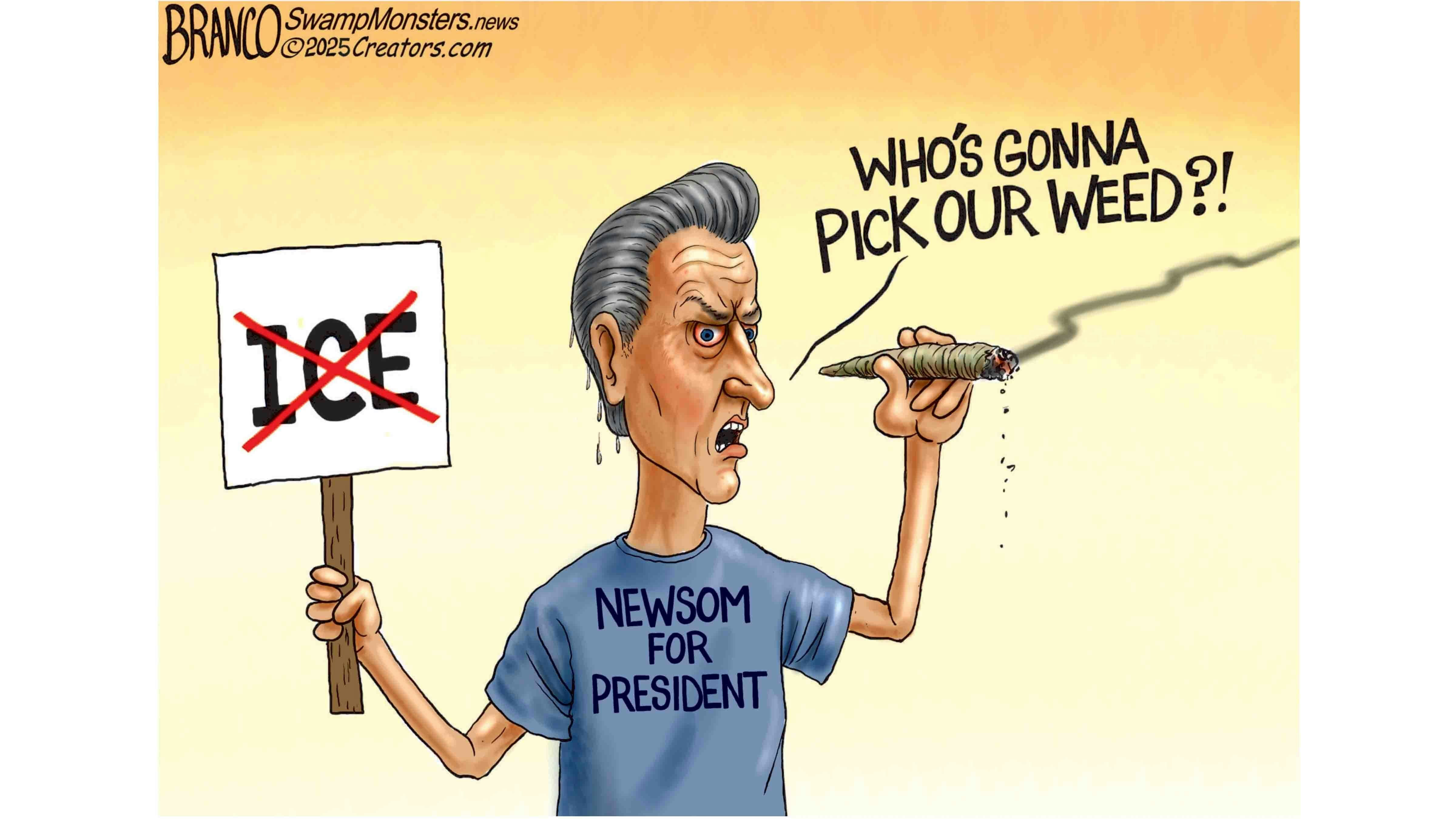 Cartoon 7 18 25