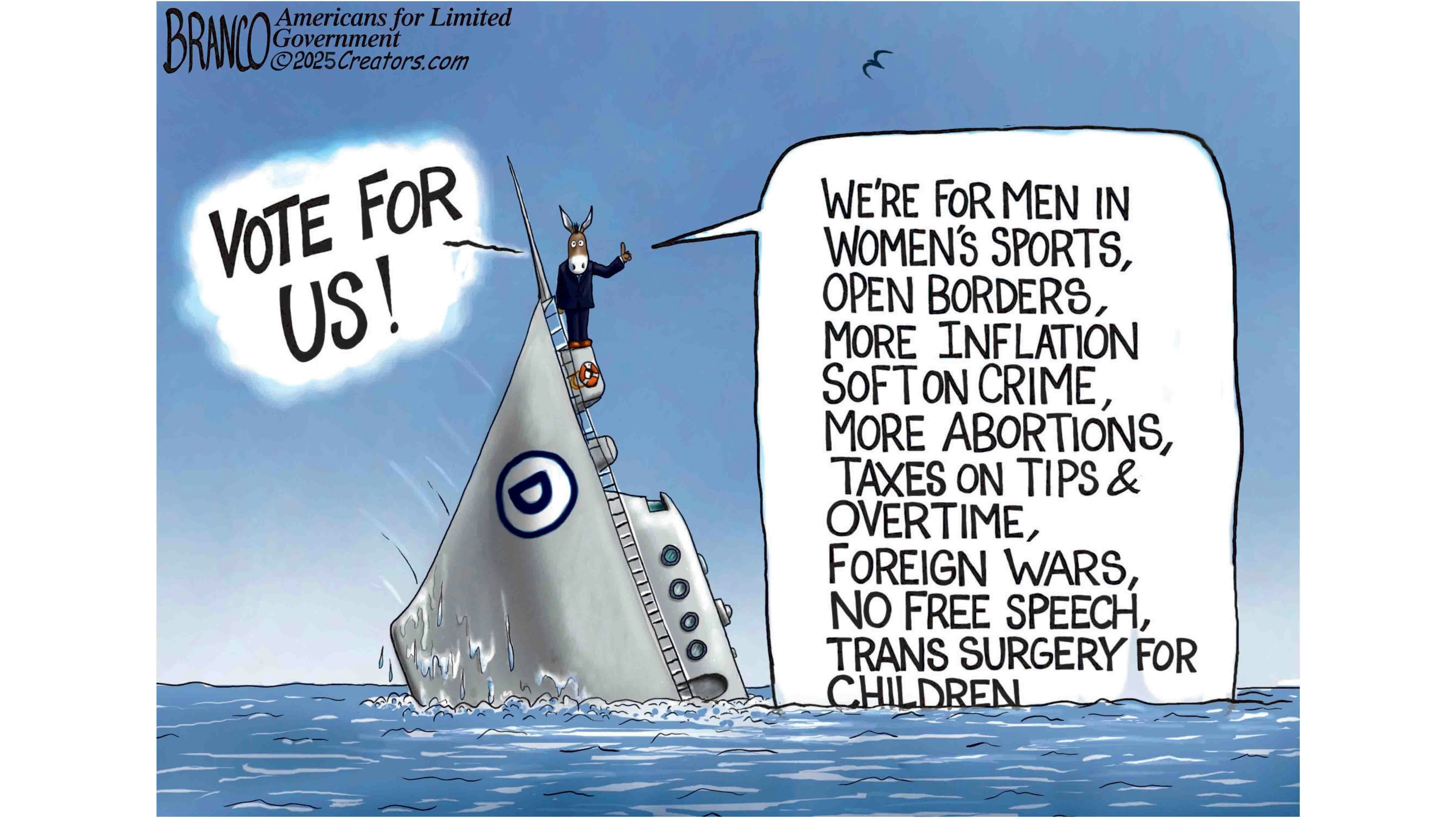 Cartoons 2 8 14 25