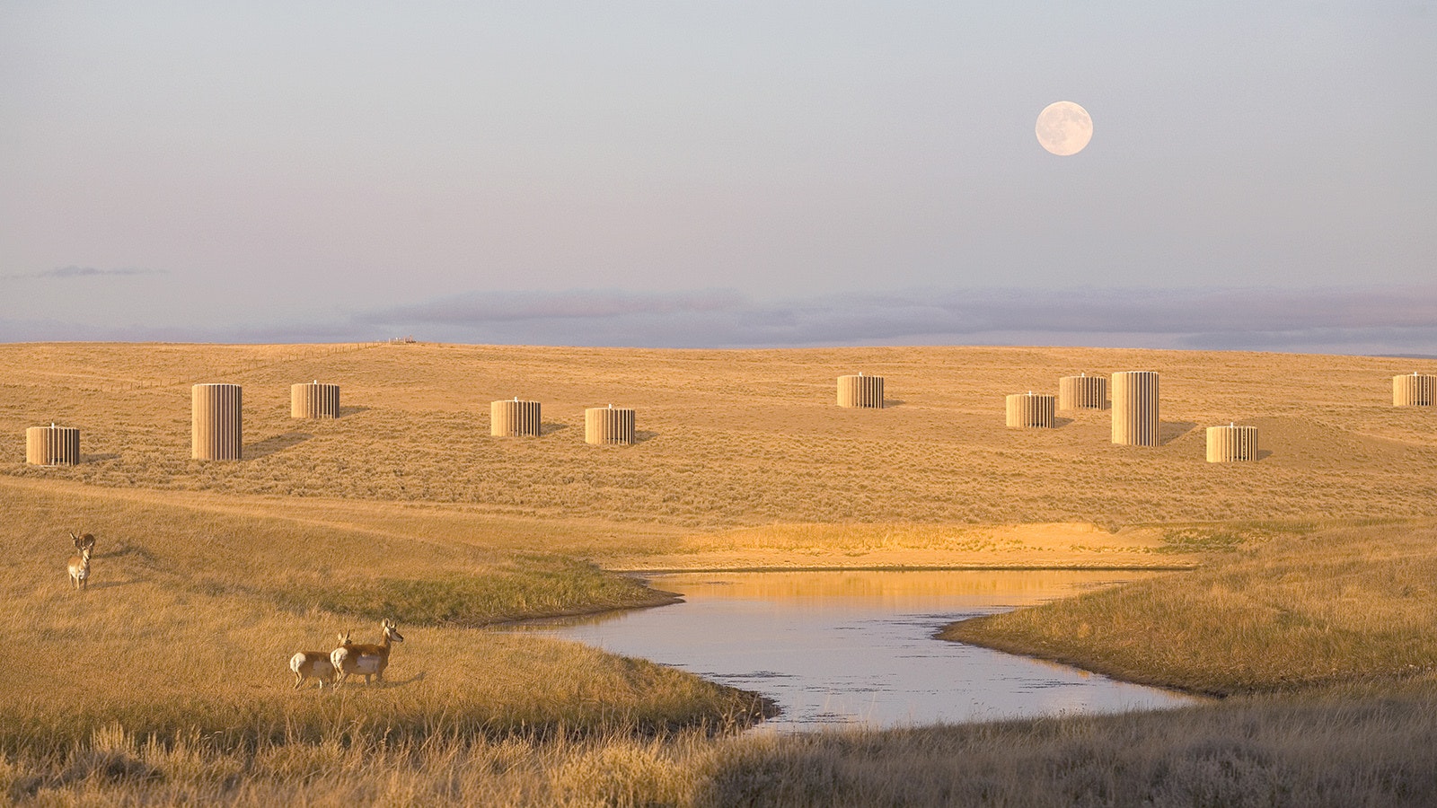 An illustration of what an "orchard" of silos to pull carbon dioxide out of the air and sequester it underground in central Wyoming could look like.