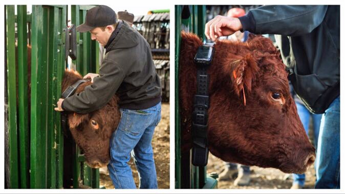 The Pitchfork Ranch is piloting technology that lets ranchers draw fence on a smartphone with a fingertip. The virtual fence reacts with collars the cattle wear. It’s working so well, fencing might disappear, bringing back Wyoming’s Wild West open range.