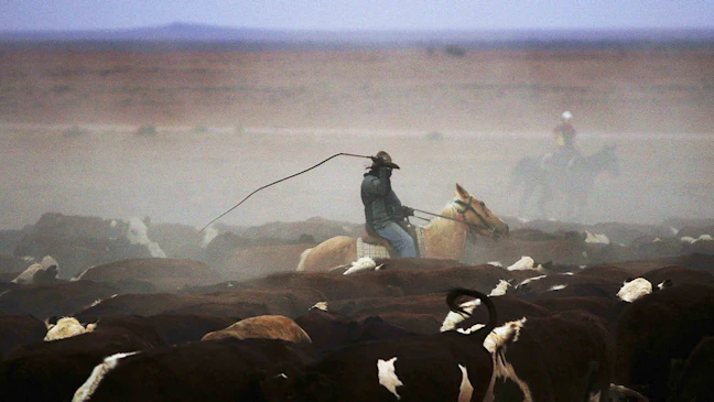 Cattle Rustling Still Happens In Wyoming, And Most Rustlers Get Away ...