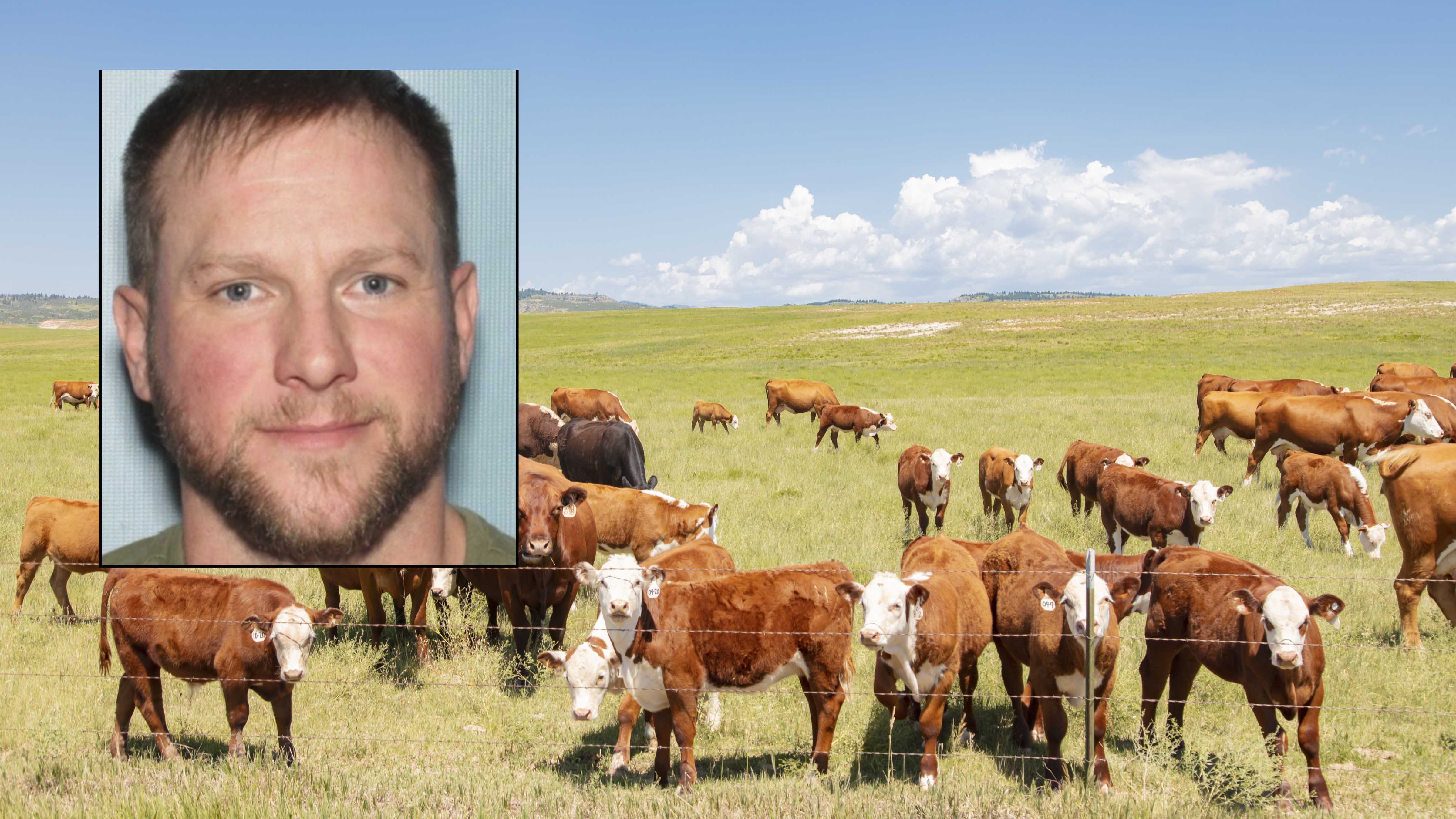 Cattle fraud 3 16 26