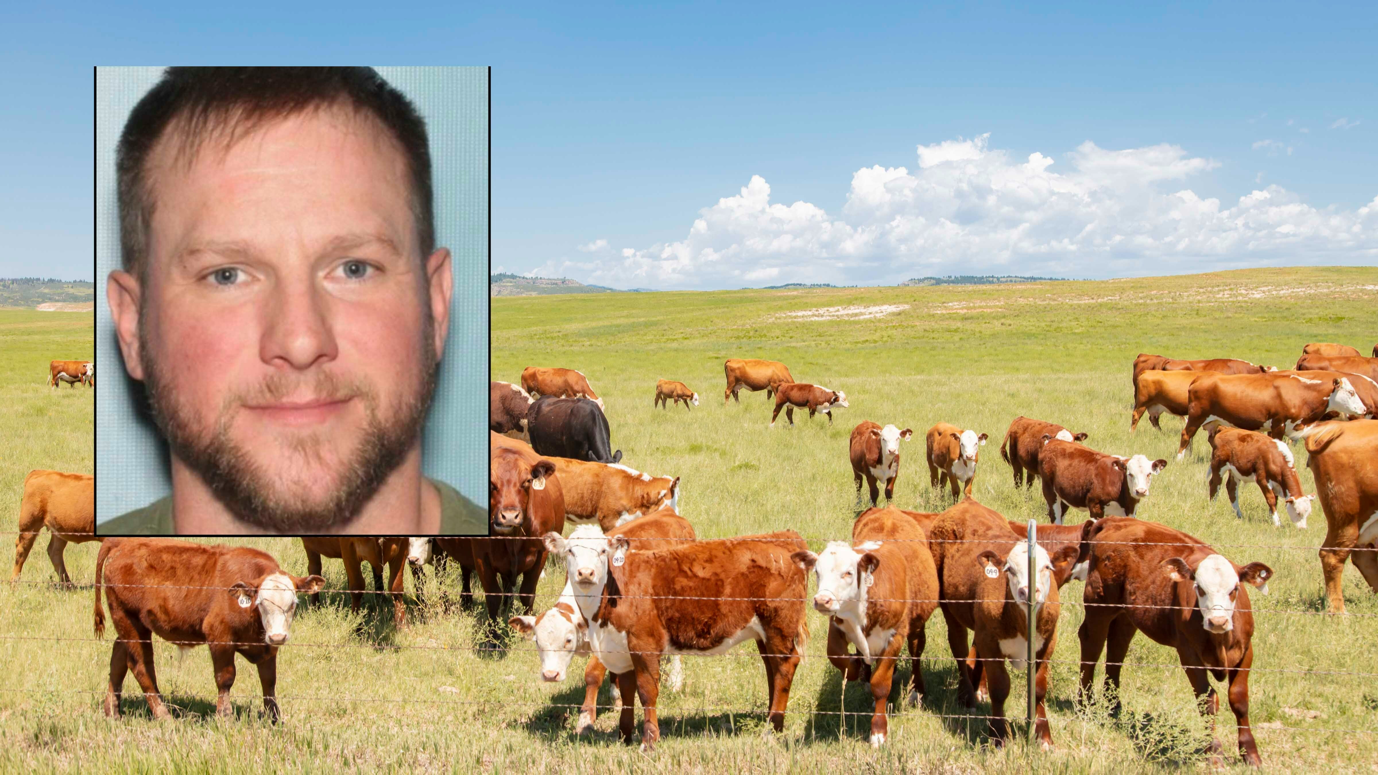 Cattle fraud 3 16 26