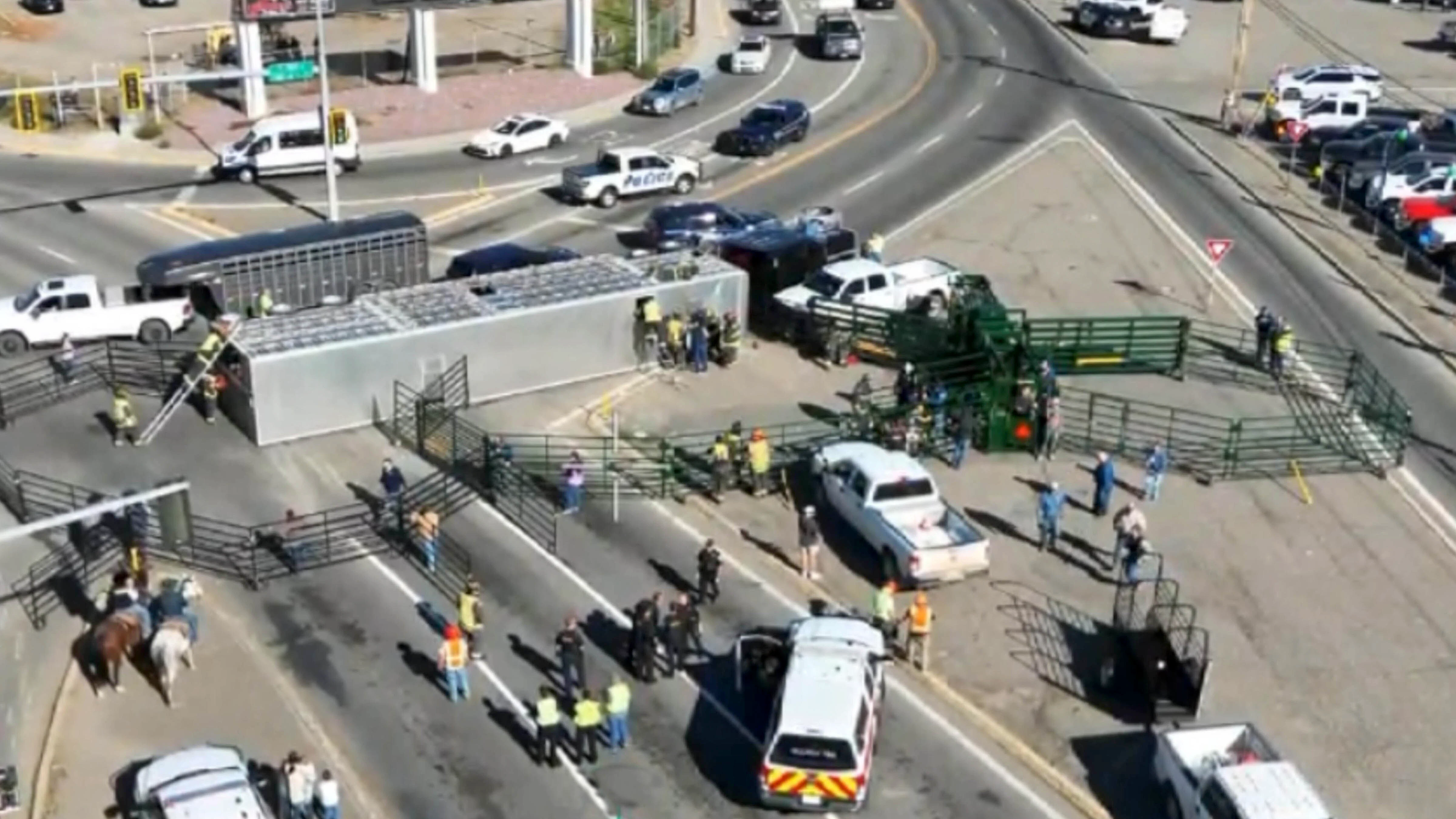 A drone shot shows the overturned cattle trailer and emergency crews at First Avenue North and Main Street in Billings on Friday.