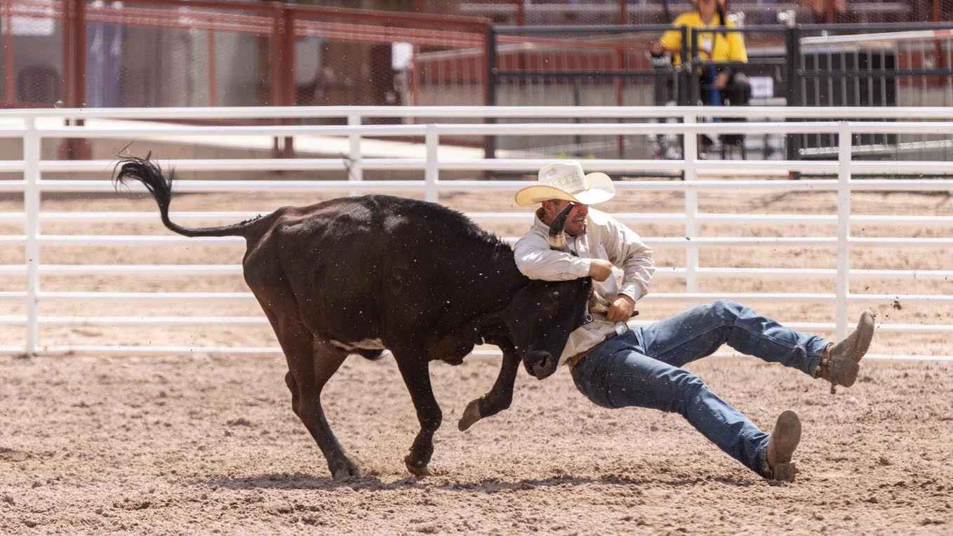 Kall Mayfield from Midwest, WY, in the steer wrestling at Cheyenne Frontier Days on Sunday, July 19, 2026.
