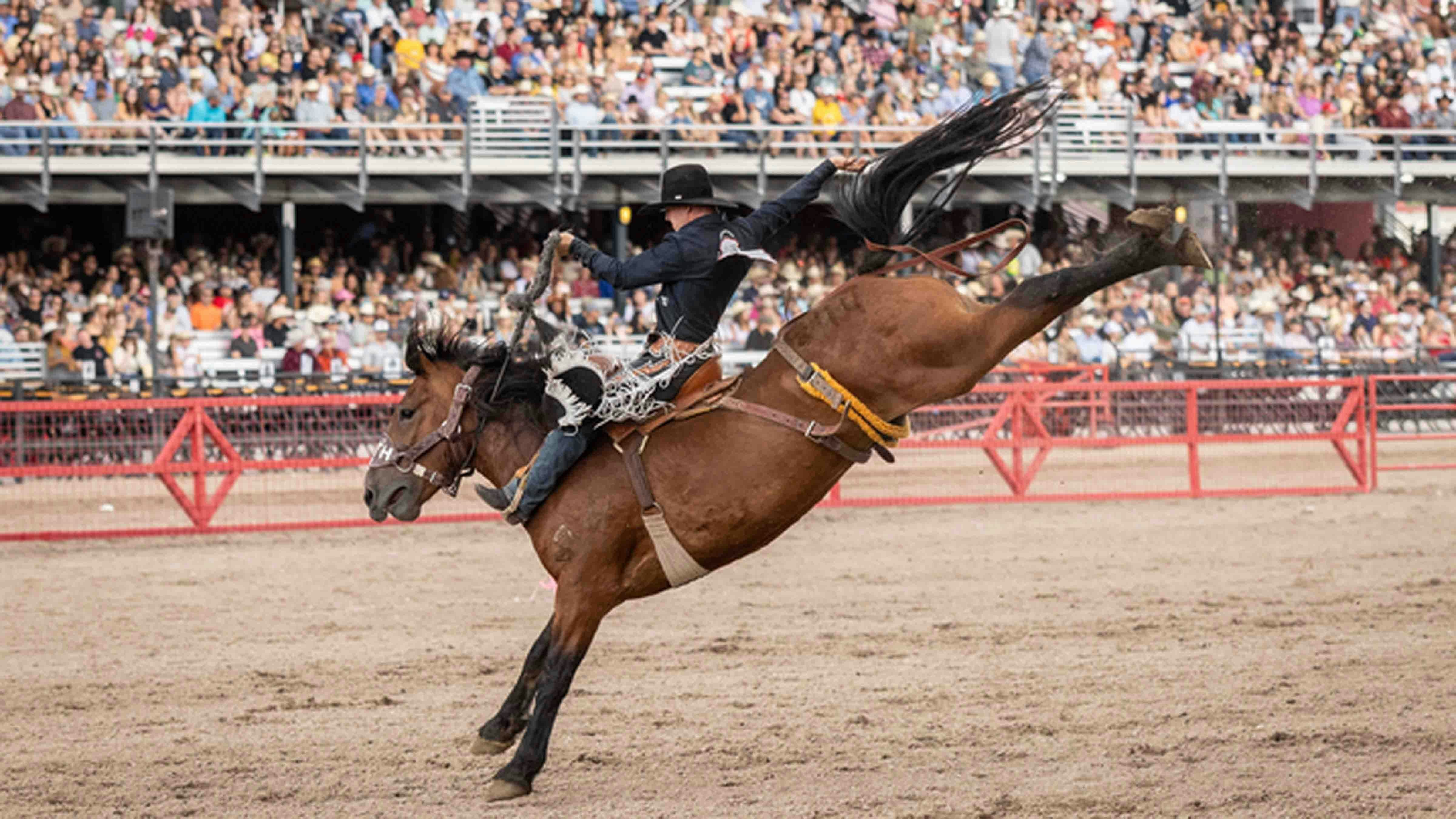 Ira Dickinson from Rock Springs, WY rides his horse in the saddle bronc riding at Cheyenne Frontier Days on July 27, 2024