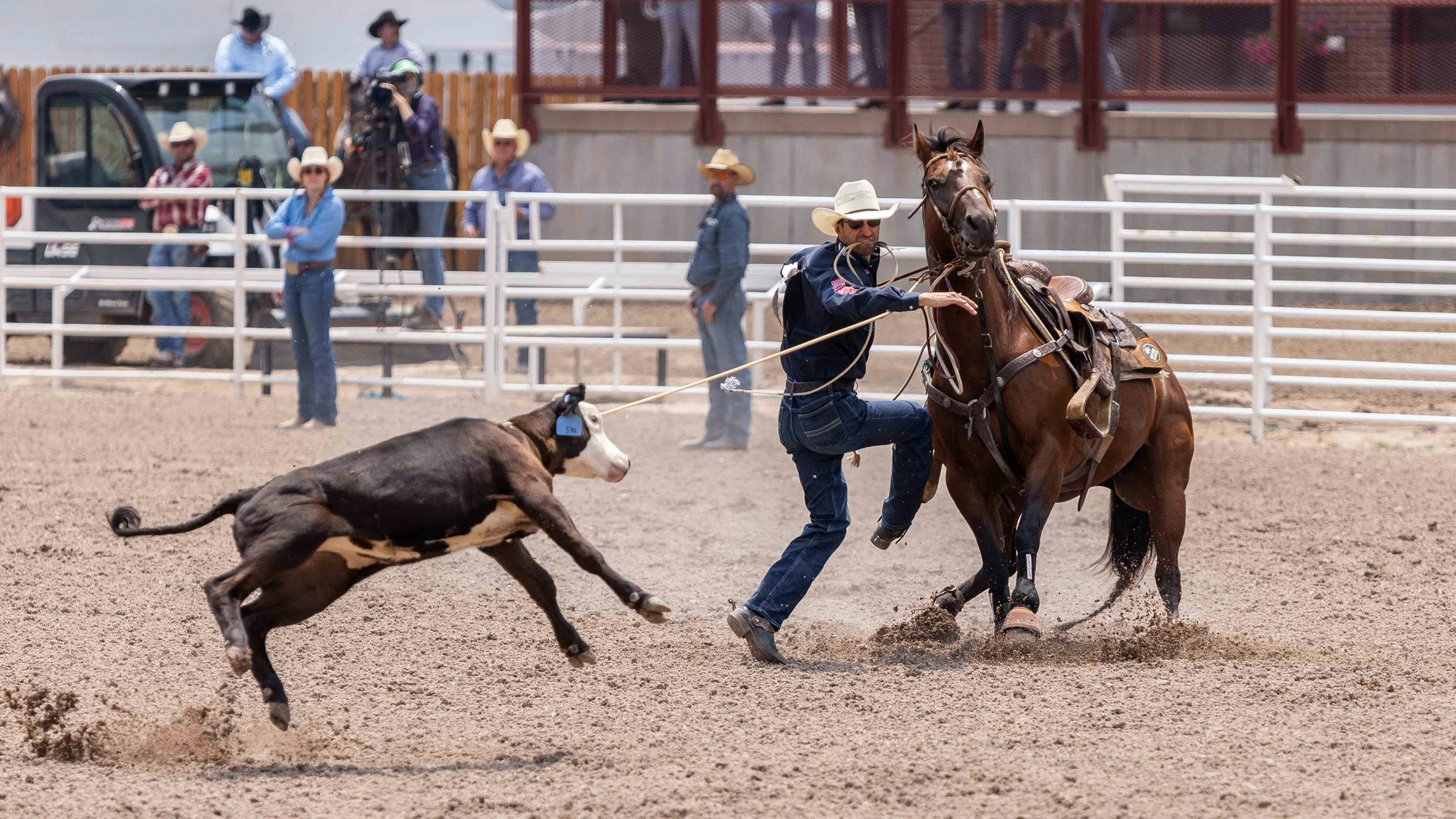 Shane Hanchey from Sulphur, LA ropes his calf in the Tie Down Roping at Cheyenne Frontier Days on July 22, 2024.