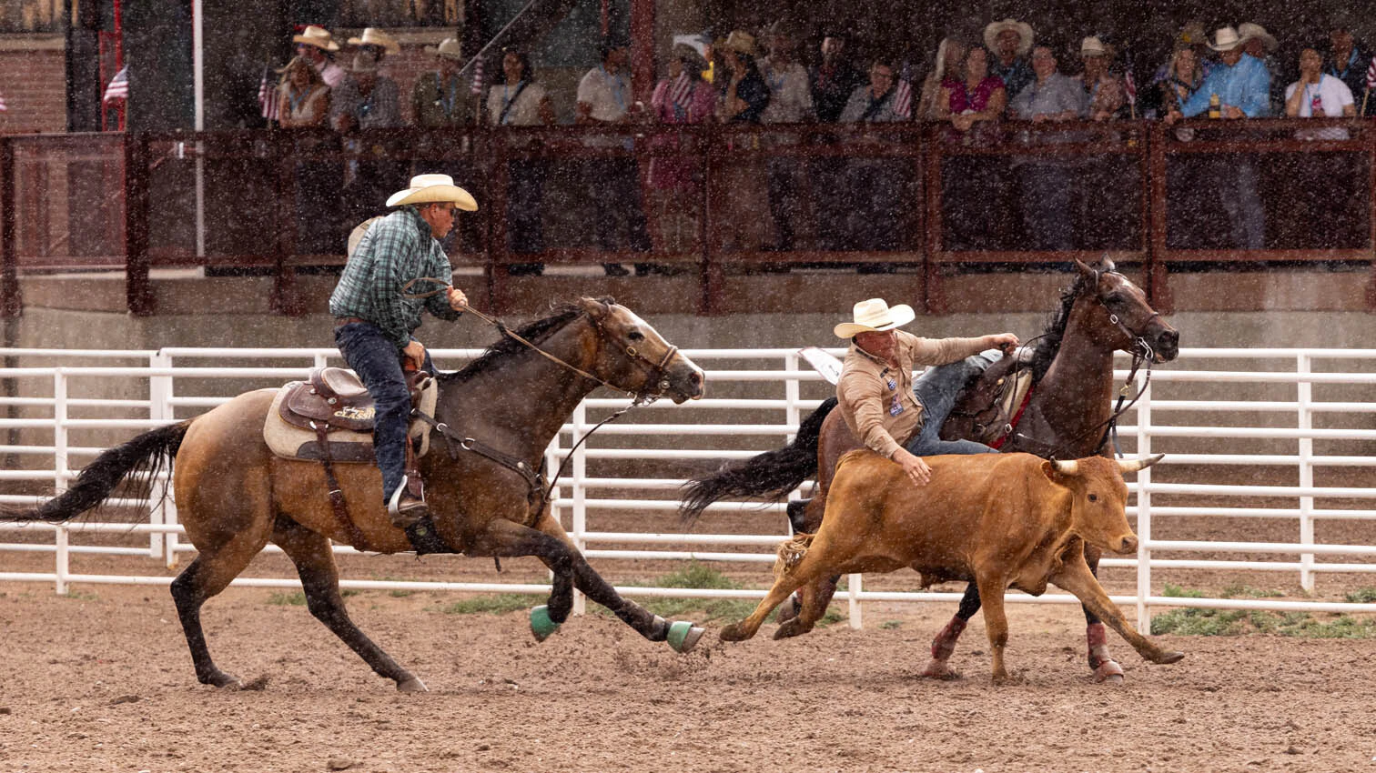 Tyke Kipp from Tooele, UT in the steer wrestling in the rain at the rodeo at Cheyenne Frontier Days on Thursday, July 23.