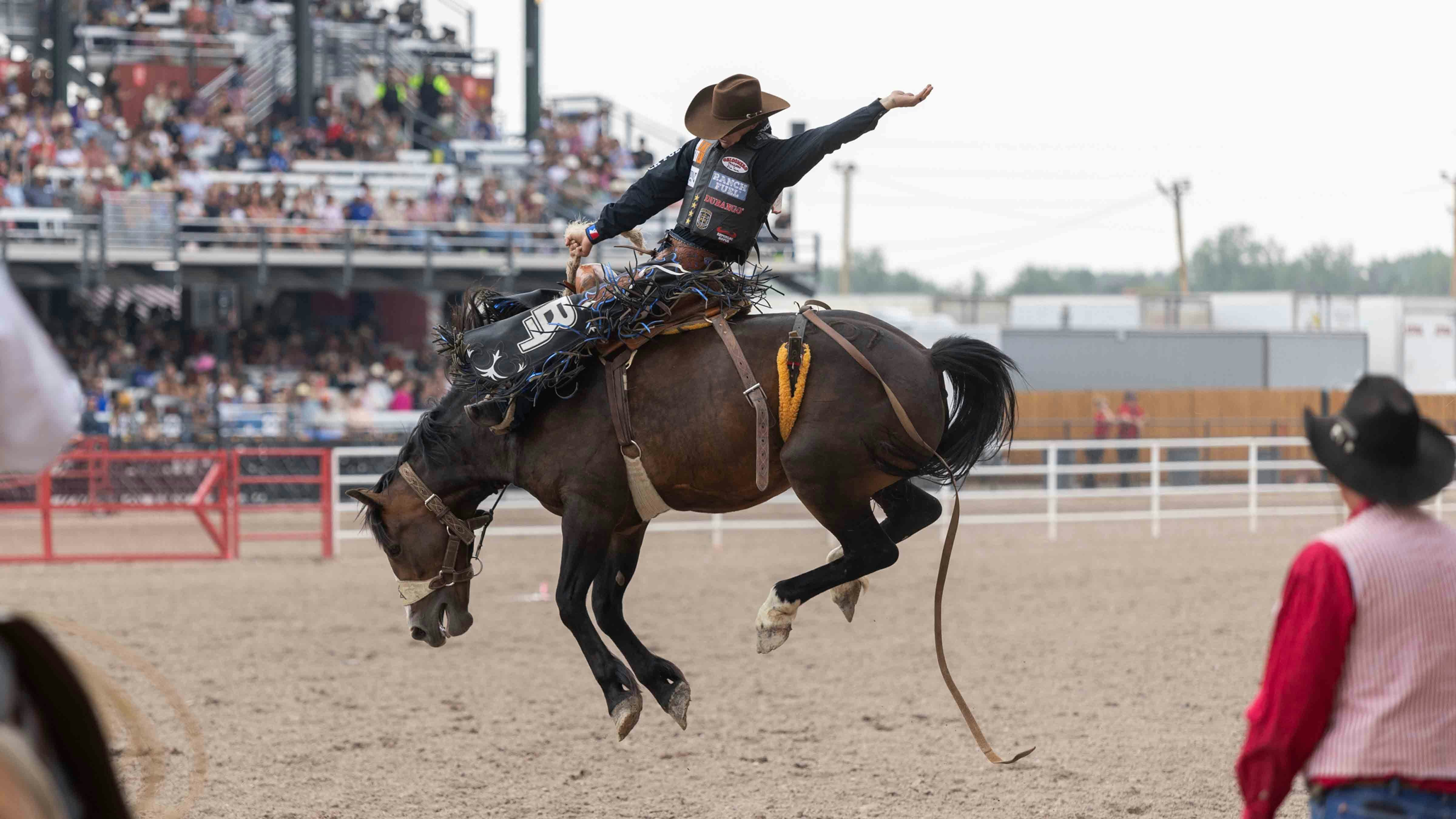 World champion Zeke Thurston from Big Valley, Alberta, rides his horse for a score of 90 points to win the Saddlebronc Riding at Cheyenne Frontier Days on July 22, 2024.