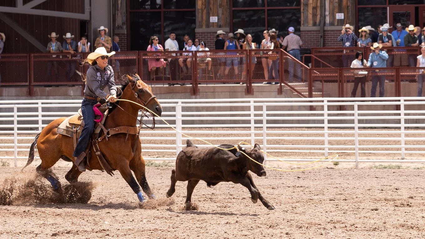 Haiden Thompson from Yoder, WY in the breakaway roping at Cheyenne Frontier Days on Sunday, July 19, 2026.