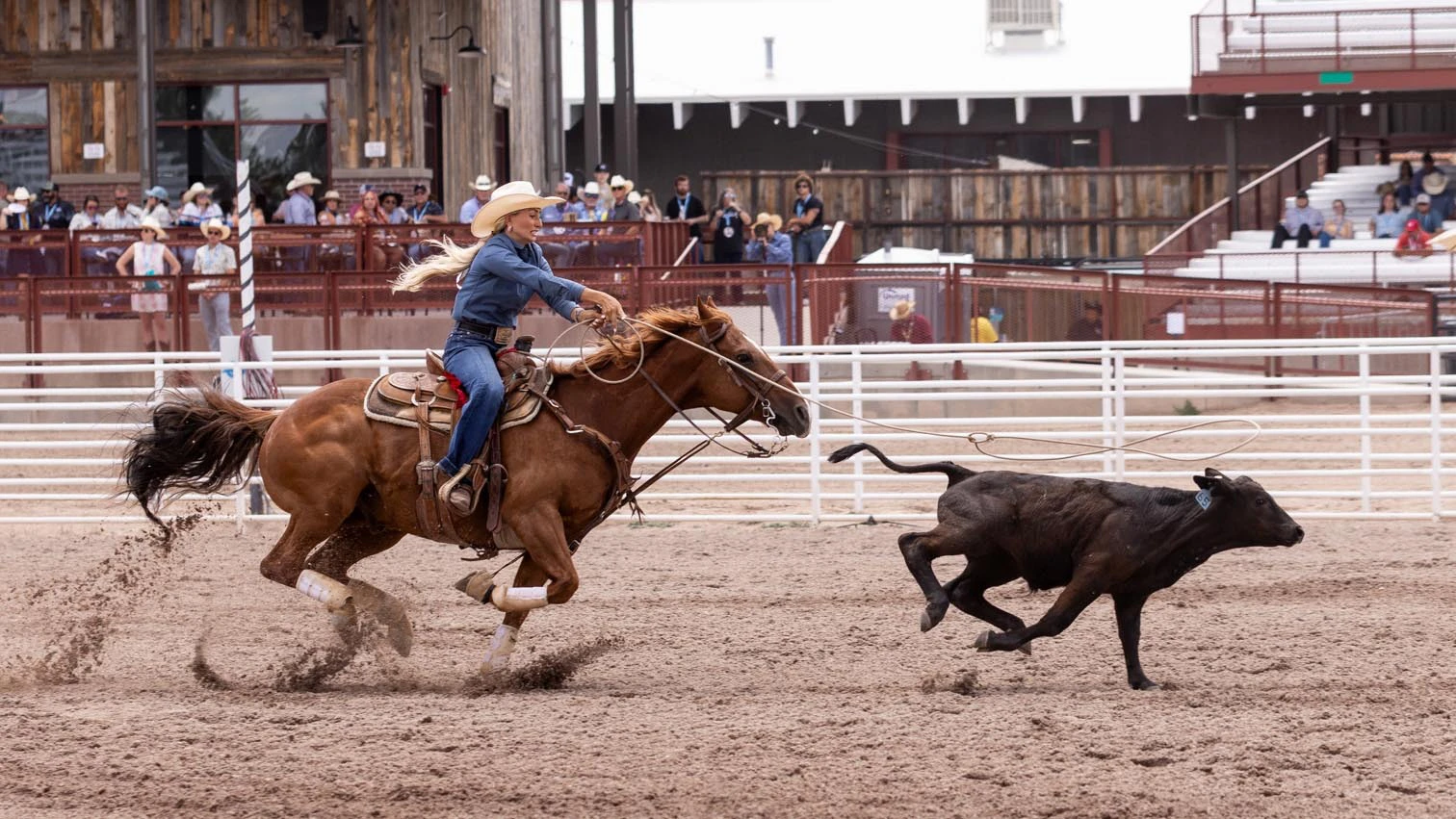 Makenna Ellerman from Sheridan, WY, in the breakaway at Cheyenne Frontier Days on Sunday, July 19, 2026.