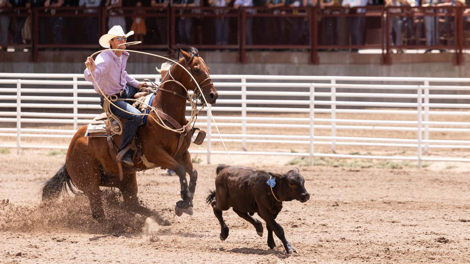 Tate Talkington, University of Wyoming Rodeo student from Scottsbluff, WY in the tie-down roping at Cheyenne Frontier Days on Sunday, July 19, 2026.