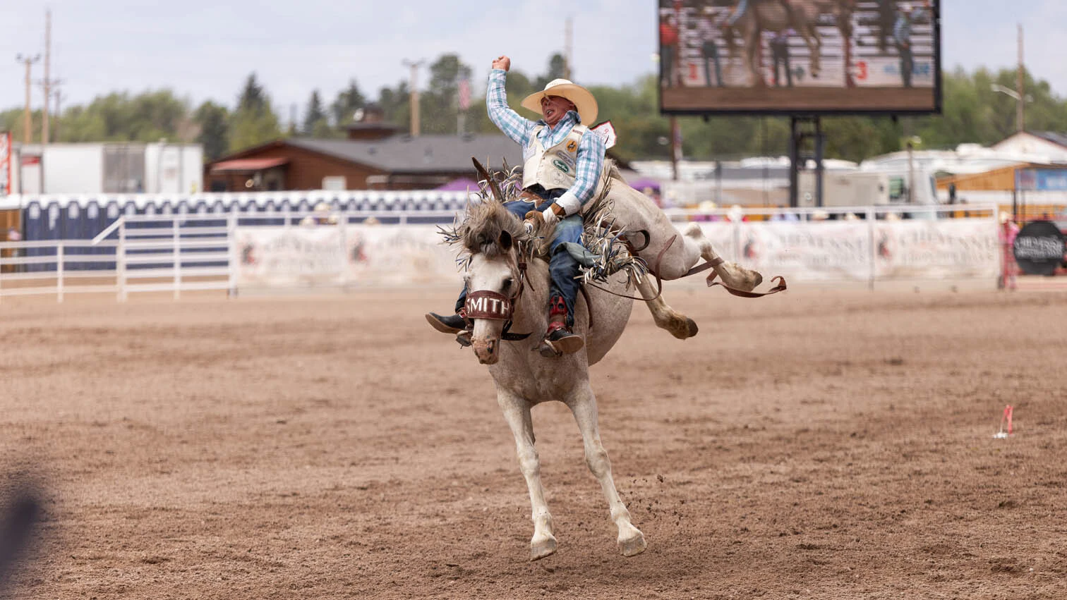 Roedy Farrell from Thermopolis, WY in the bareback riding at the rodeo at Cheyenne Frontier Days on Thursday, July 23.