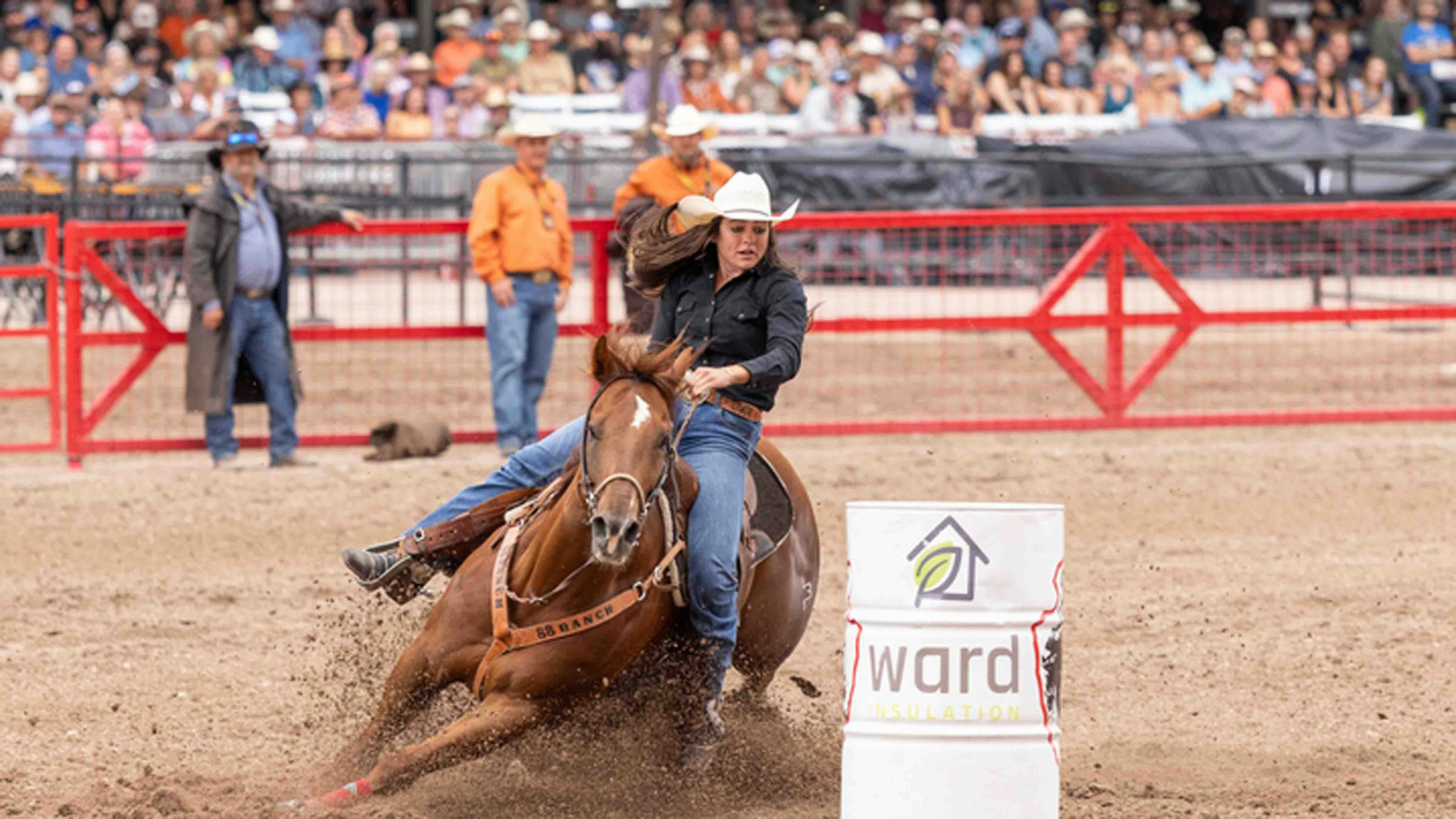 Sage Kohr from Gillette rounds barrel 3 in the barrel racing at Cheyenne Frontier Days on July 26, 2024.