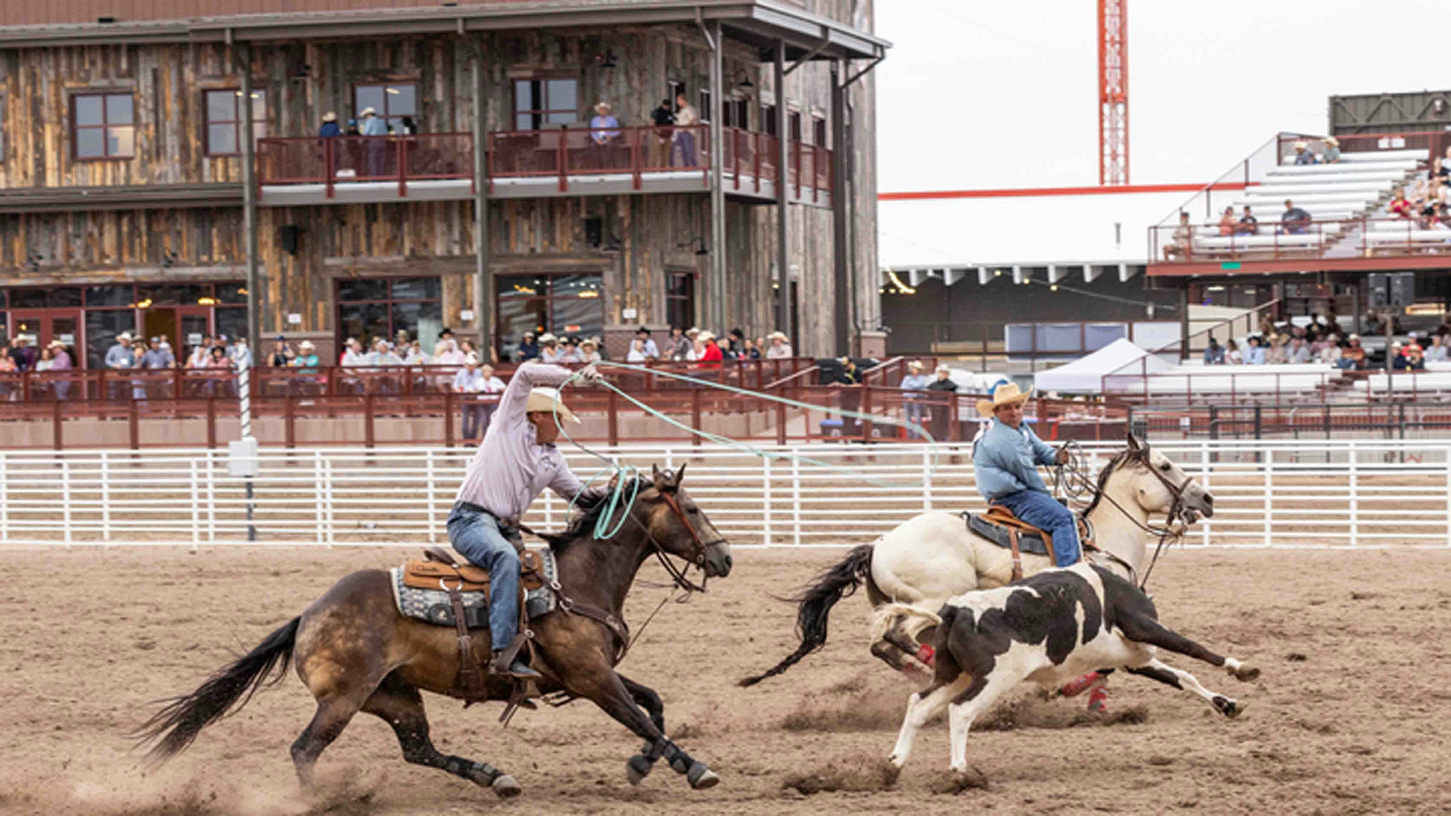 Clayton Van Aken from Yoder, WY, and Culler Teller from Ault, CO, rope their steer in 9.6 seconds in the team roping to place 6th at Cheyenne Frontier Days on July 26, 2024.