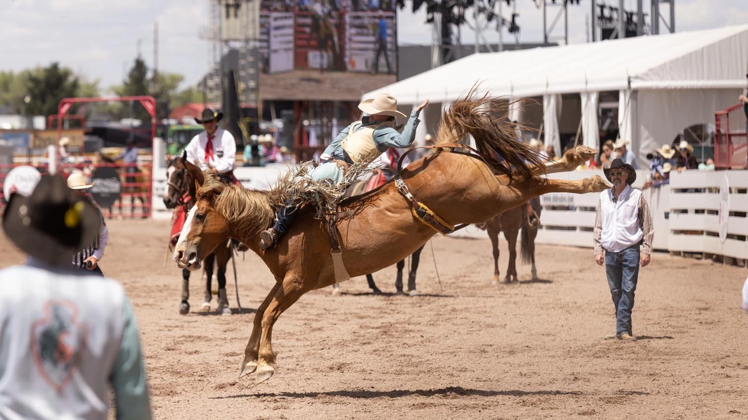 Tucker Carricato from Saratoga, WY in the bareback riding at Cheyenne Frontier Days on Sunday, July 19, 2026.