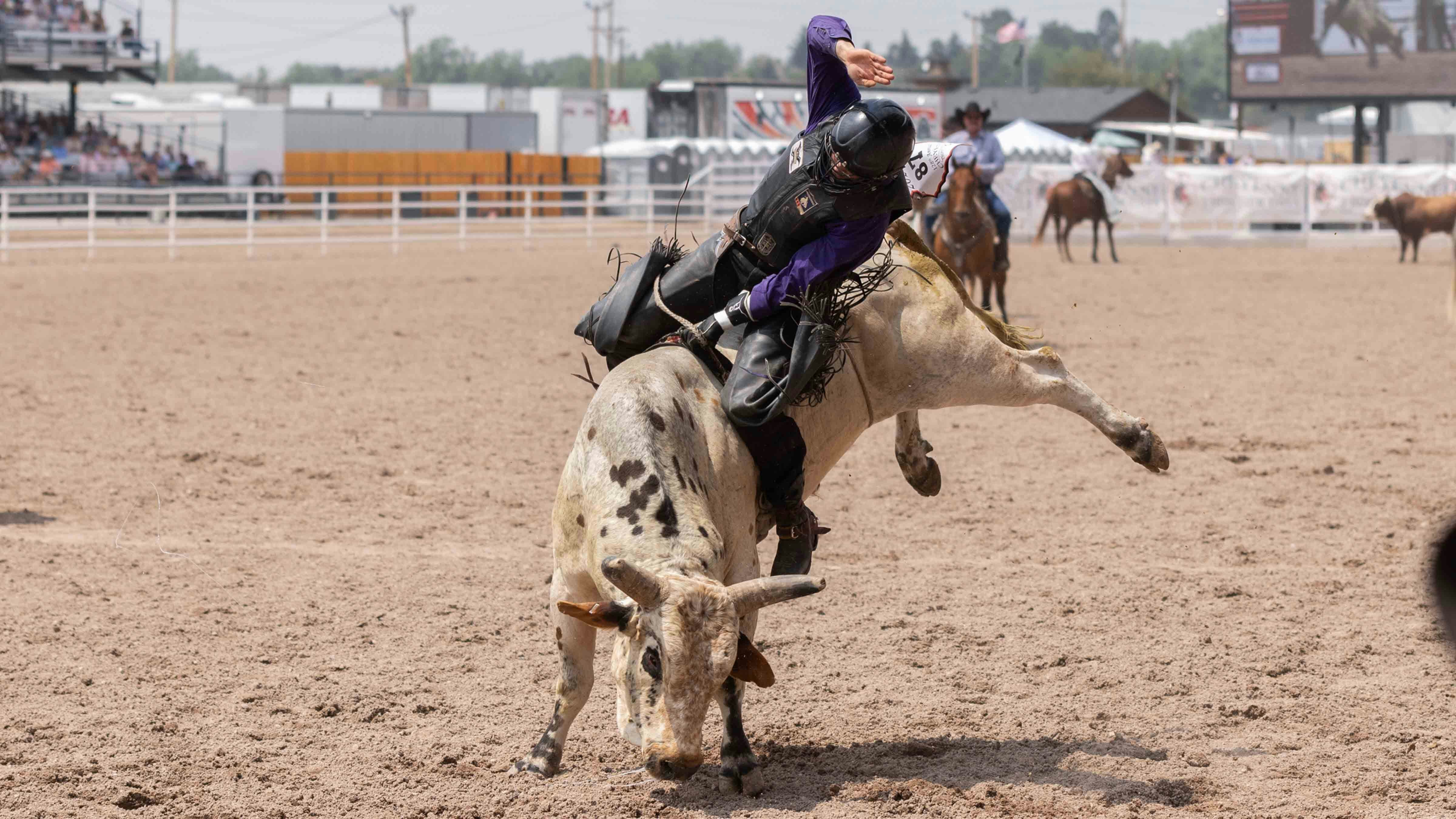 Jeff Burtis rides his bull in the first section of the bull riding at Cheyenne Frontier Days on July 22, 2024.