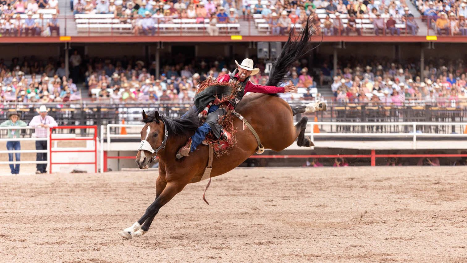 Garrett Shadbolt from Merriman, NE in the bareback riding at the rodeo at Cheyenne Frontier Days on Thursday, July 23.