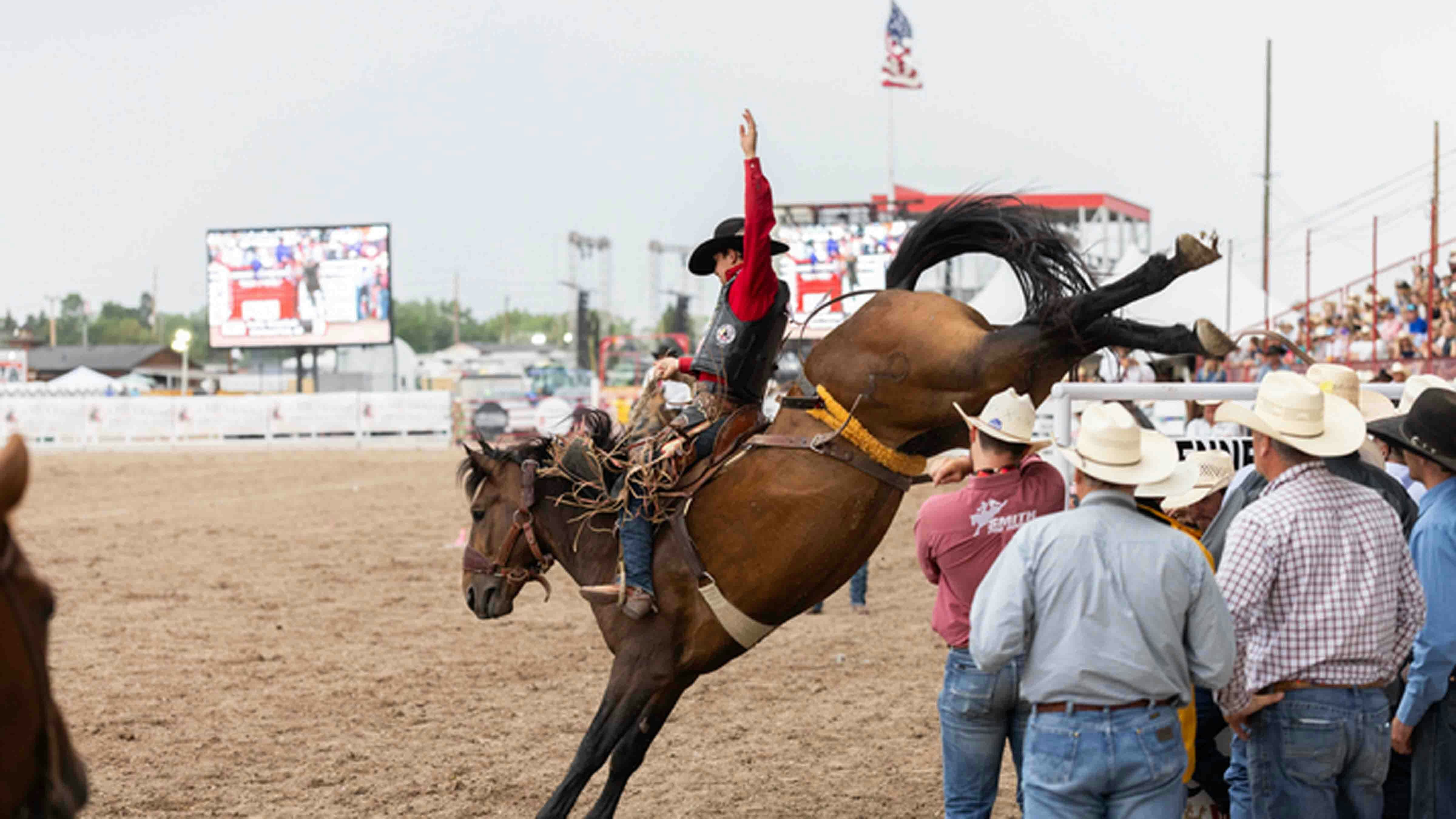 Kolby Wanchuk from Sherwood Park, Alberta, Canada rides his horse to score 90 points and win the saddlebronc riding at Cheyenne Frontier Days on July 26, 2024.