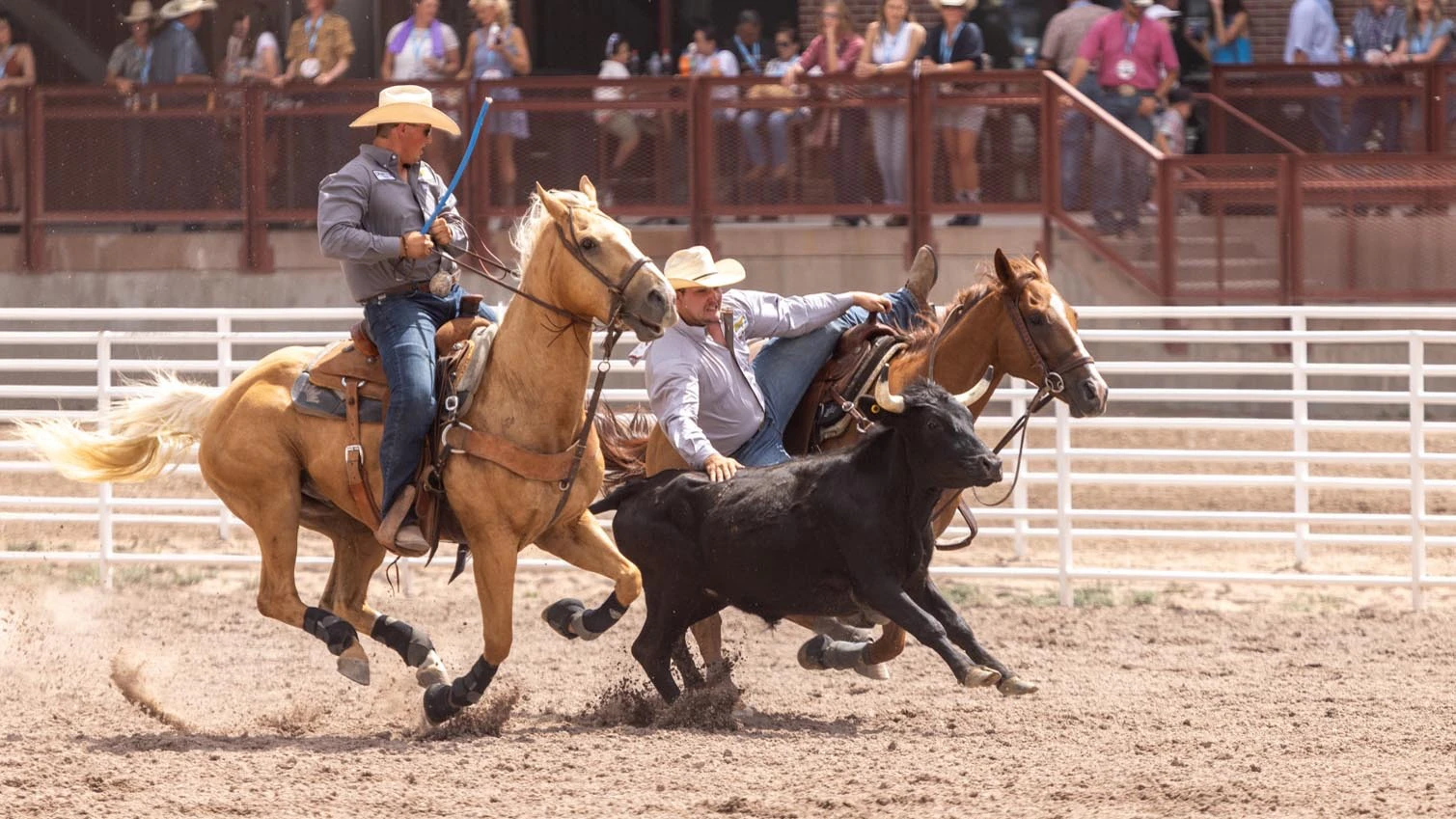 Rhett Whitt, LCCC rodeo alumnus, from Valentine, NE, in the steer wrestling at Cheyenne Frontier Days on Sunday, July 19, 2026.