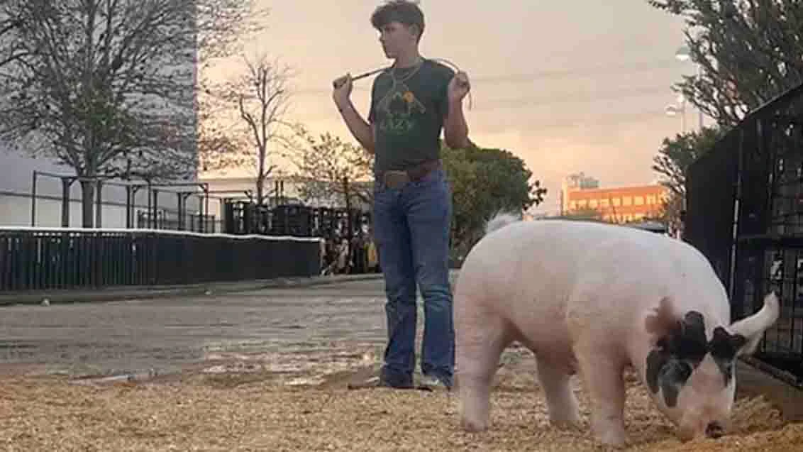Landry Mabry’s Grand Champion Junior Market Barrow pig sold for $505,000 at the Houston Livestock Show and Rodeo, beating last year’s record of $501,000. His was the top pig of 2,200 pigs in the show.