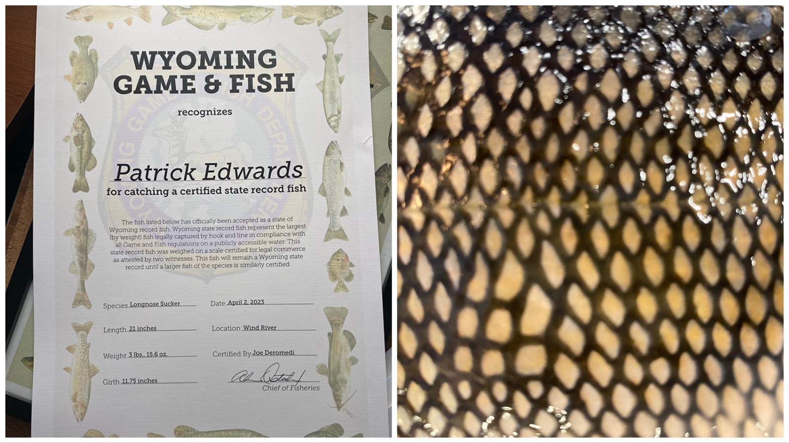 Patrick Edwards has been recognized for his state record longnose suckerfish, left, a fish that features distinctive black diamond scales, even if they are pretty slimy.