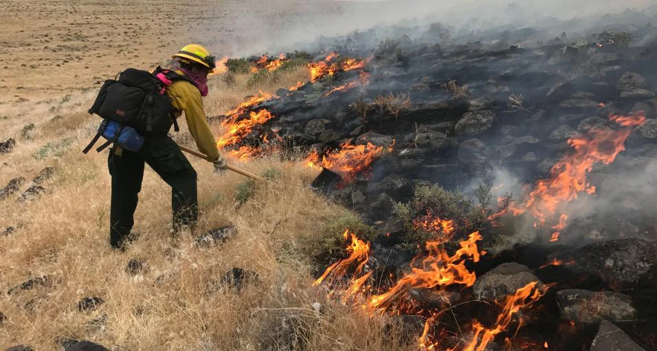 A firefighter tends to a field of burning cheatgrass in Wyoming.